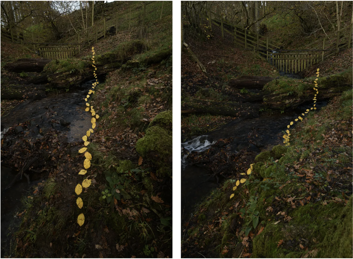 Andy Goldsworthy: For Olle
