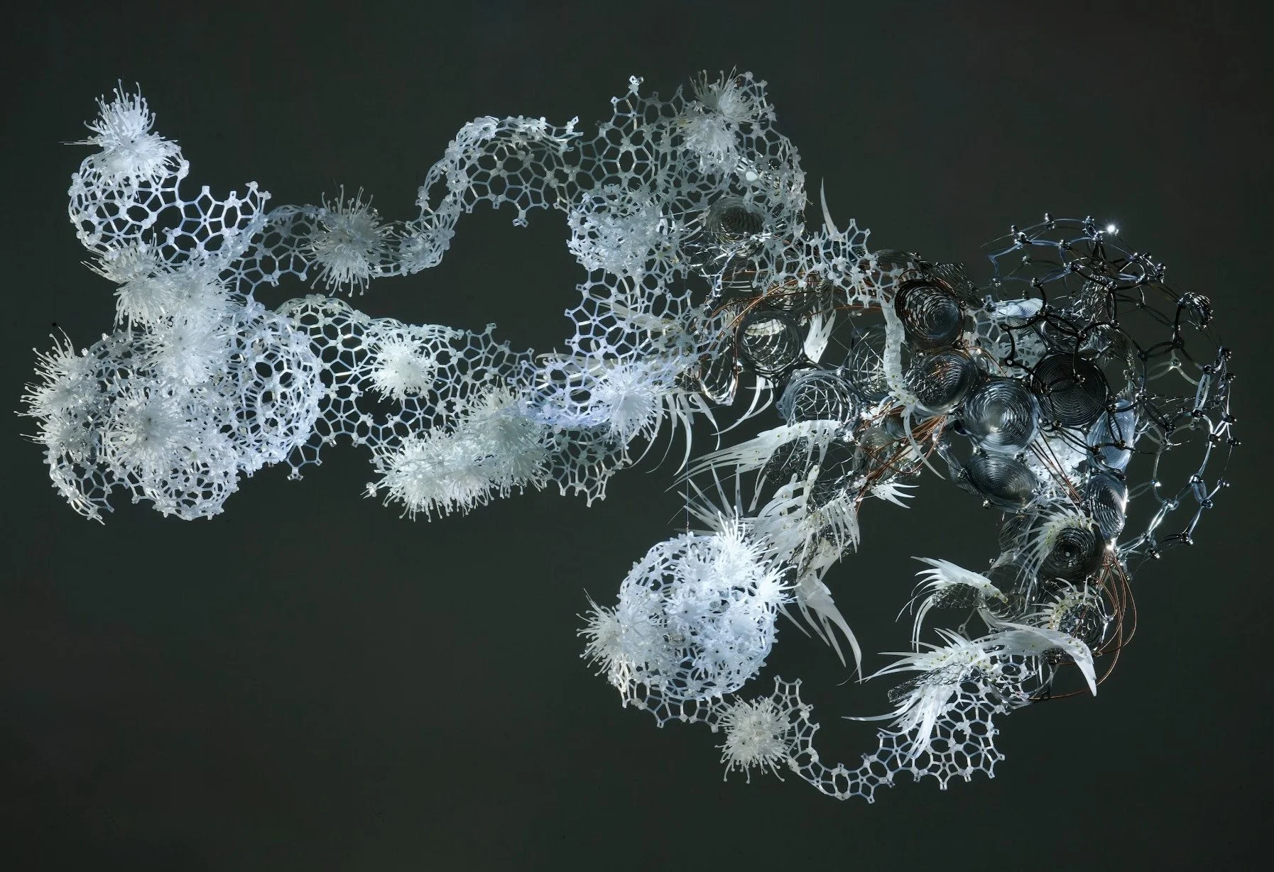 Abiogenesis