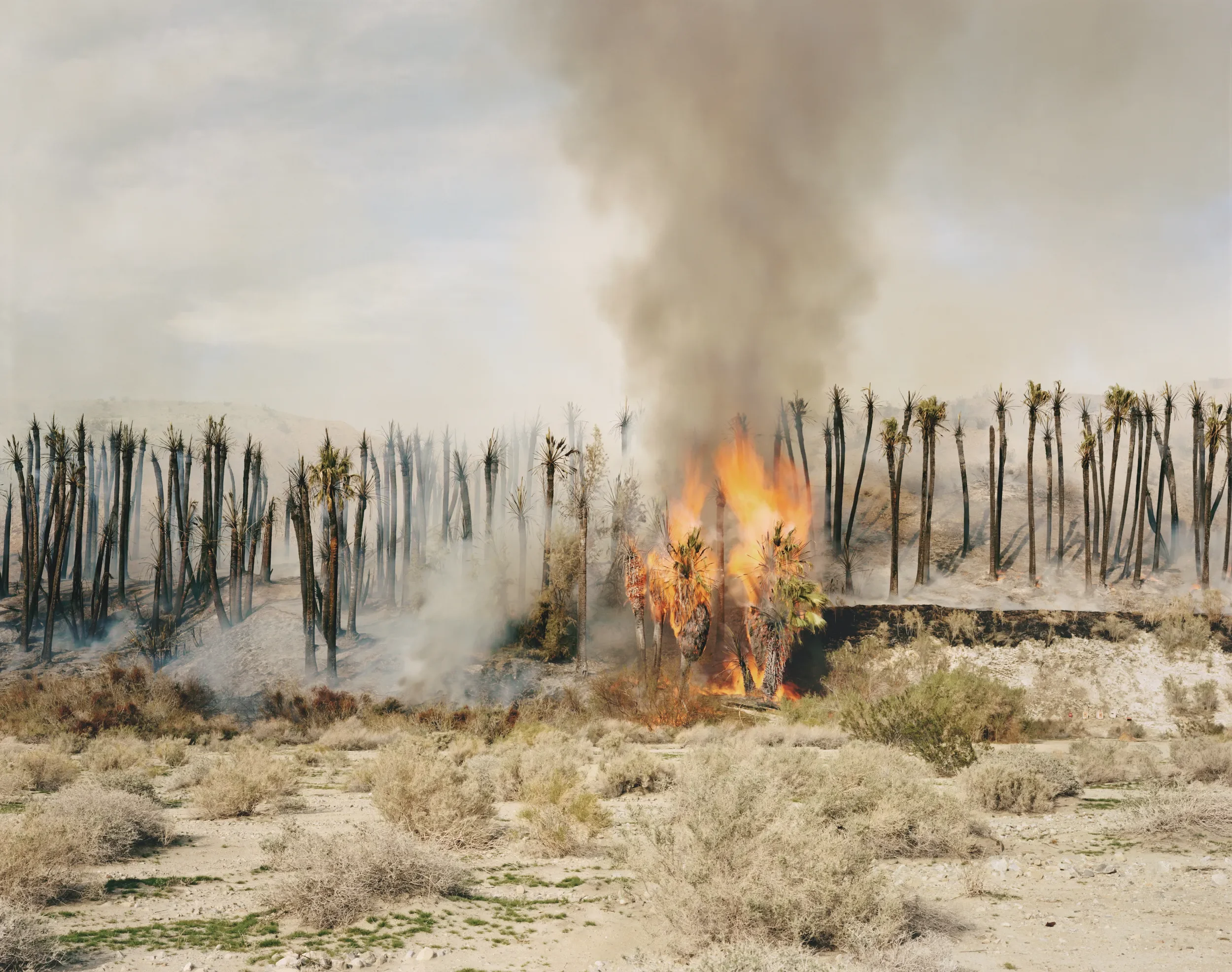 SF Art Events: Week of 10.26.25