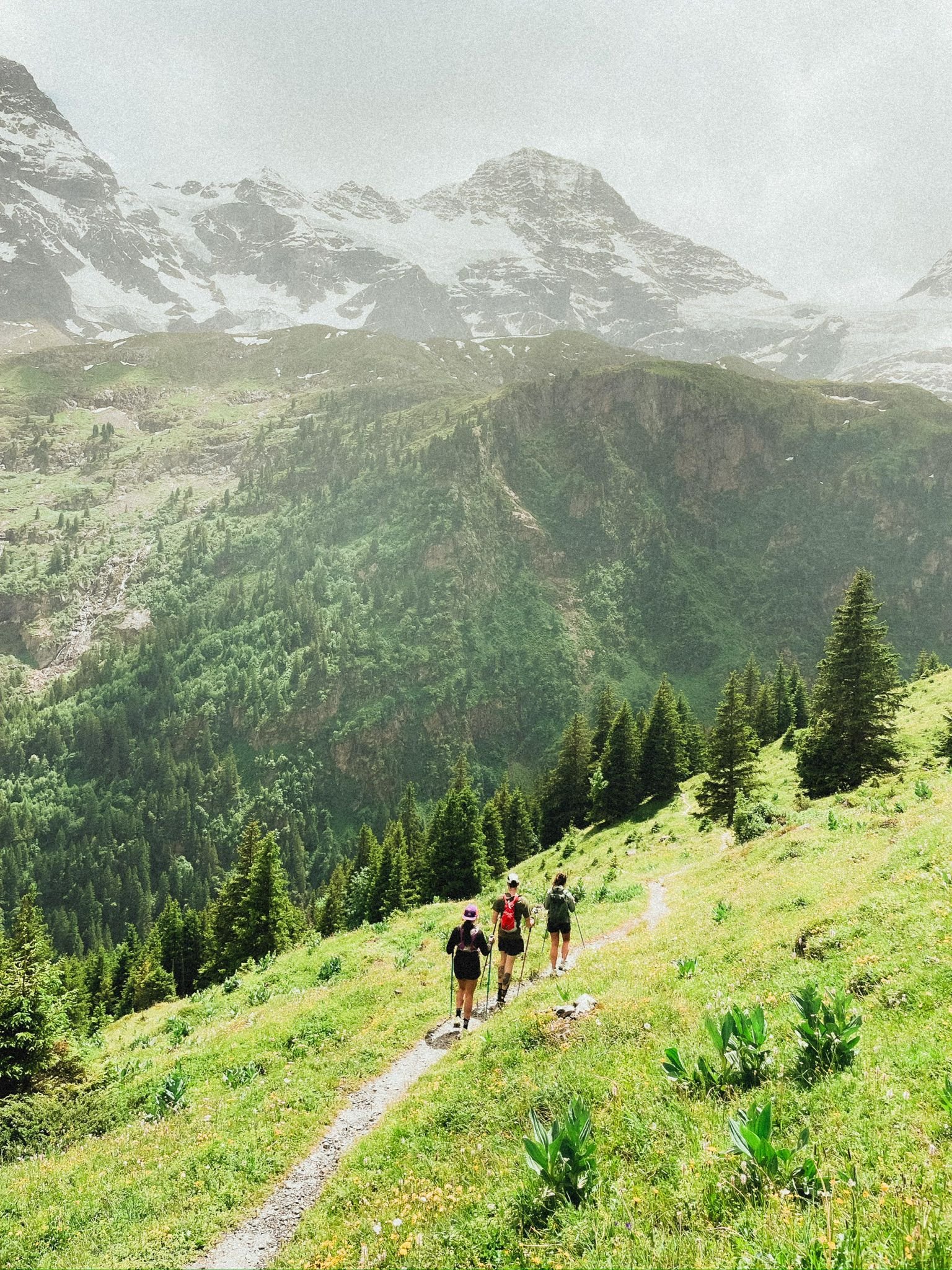 WhatsApp Image 2025-11-05 at 07.45.19.jpeg