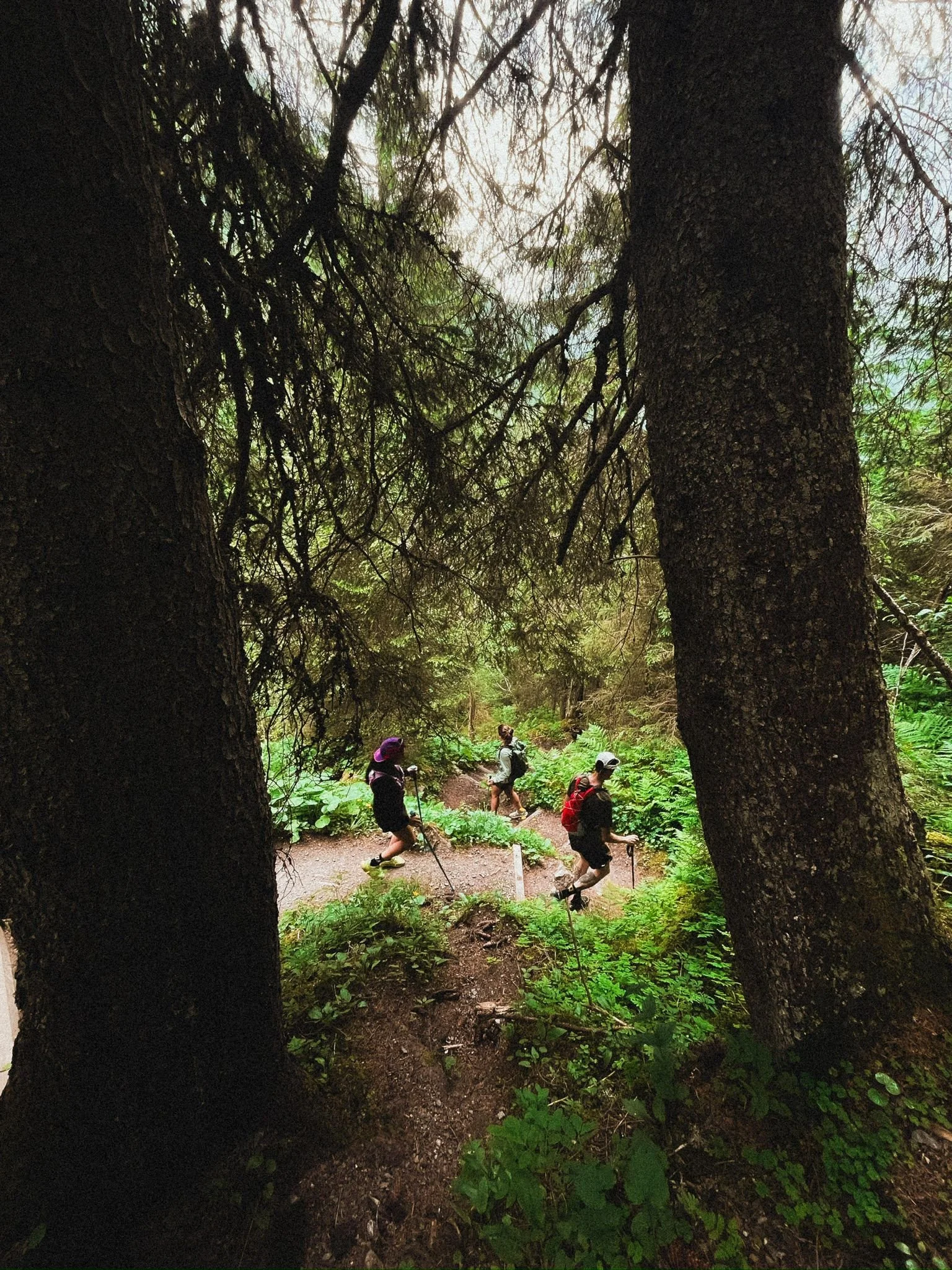 WhatsApp Image 2025-11-05 at 07.45.19 (4).jpeg