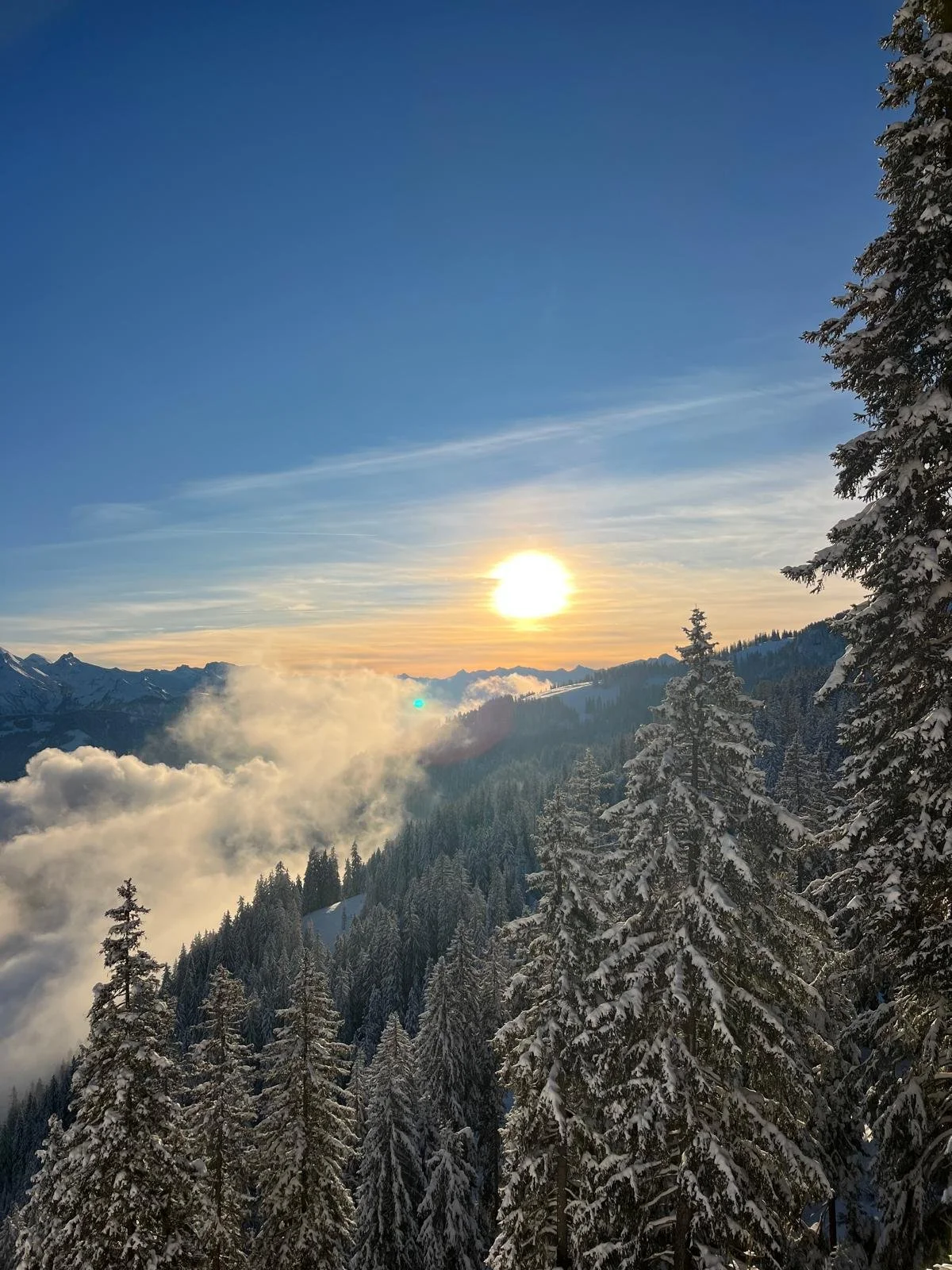 WhatsApp Image 2026-01-11 at 19.44.49 (1).jpeg