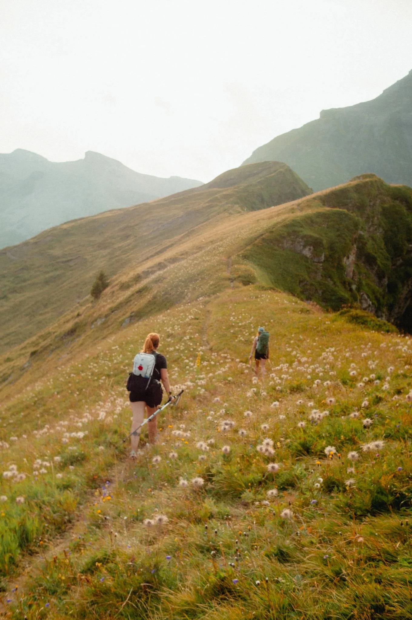 WhatsApp Image 2025-10-26 at 08.20.04 (4).jpeg