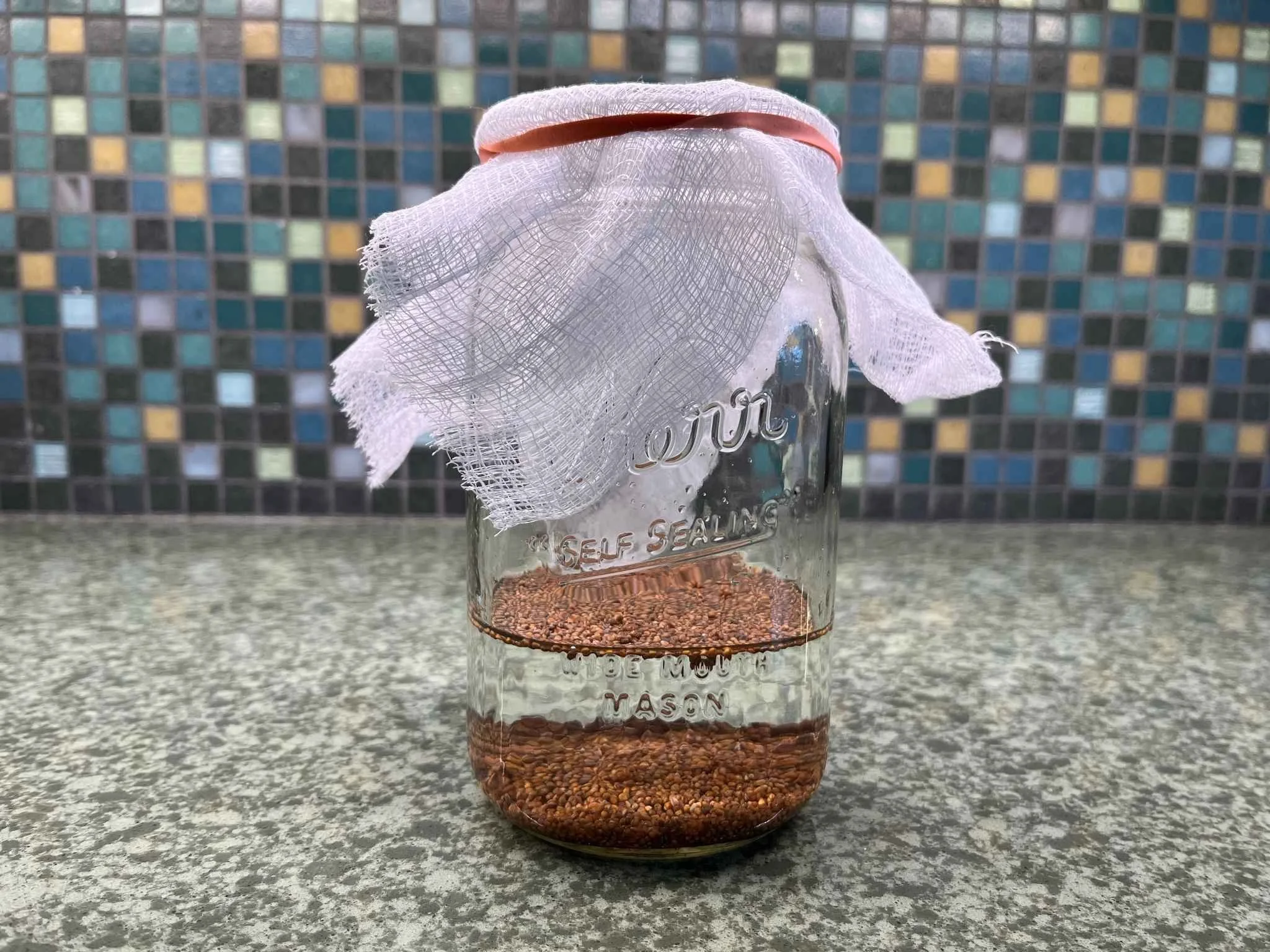 Growing Your Own Sprouts: A Tiny Habit with Big Impact