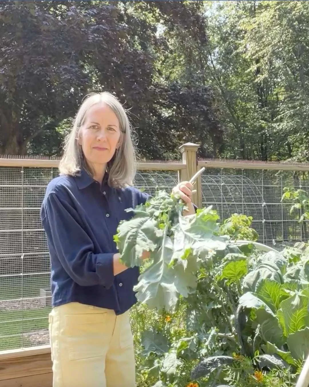 🥬 How to Preserve Your Kale Harvest: 4 Easy Ways to Store Garden Kale