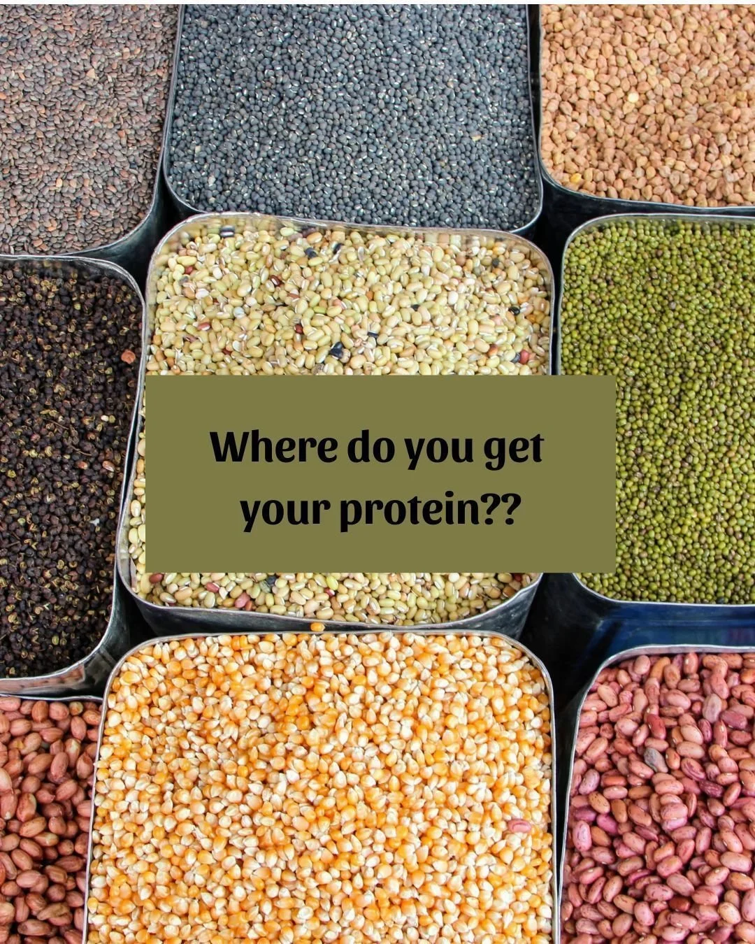 Free talk alert! 🌿
Getting Enough Protein on a Plant-Based Diet
📍 Groton Public Library
📅 March 17 | 7-8pm
Come with your questions &mdash; I'll bring the answers. Registration on Groton Public Library link.
#grotonpubliclibraryma #plantbased #pla