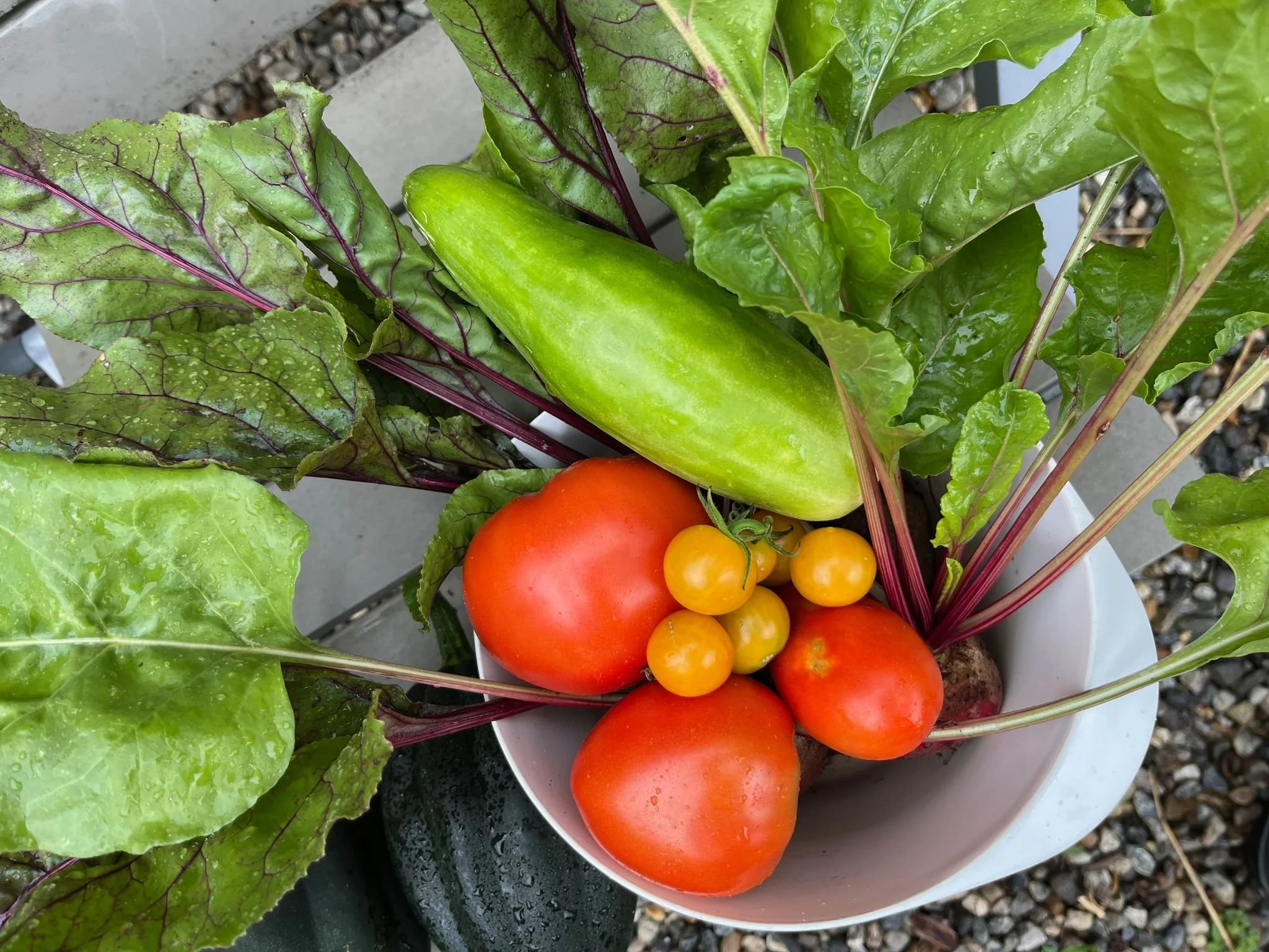 Planning the Garden with Winter in Mind