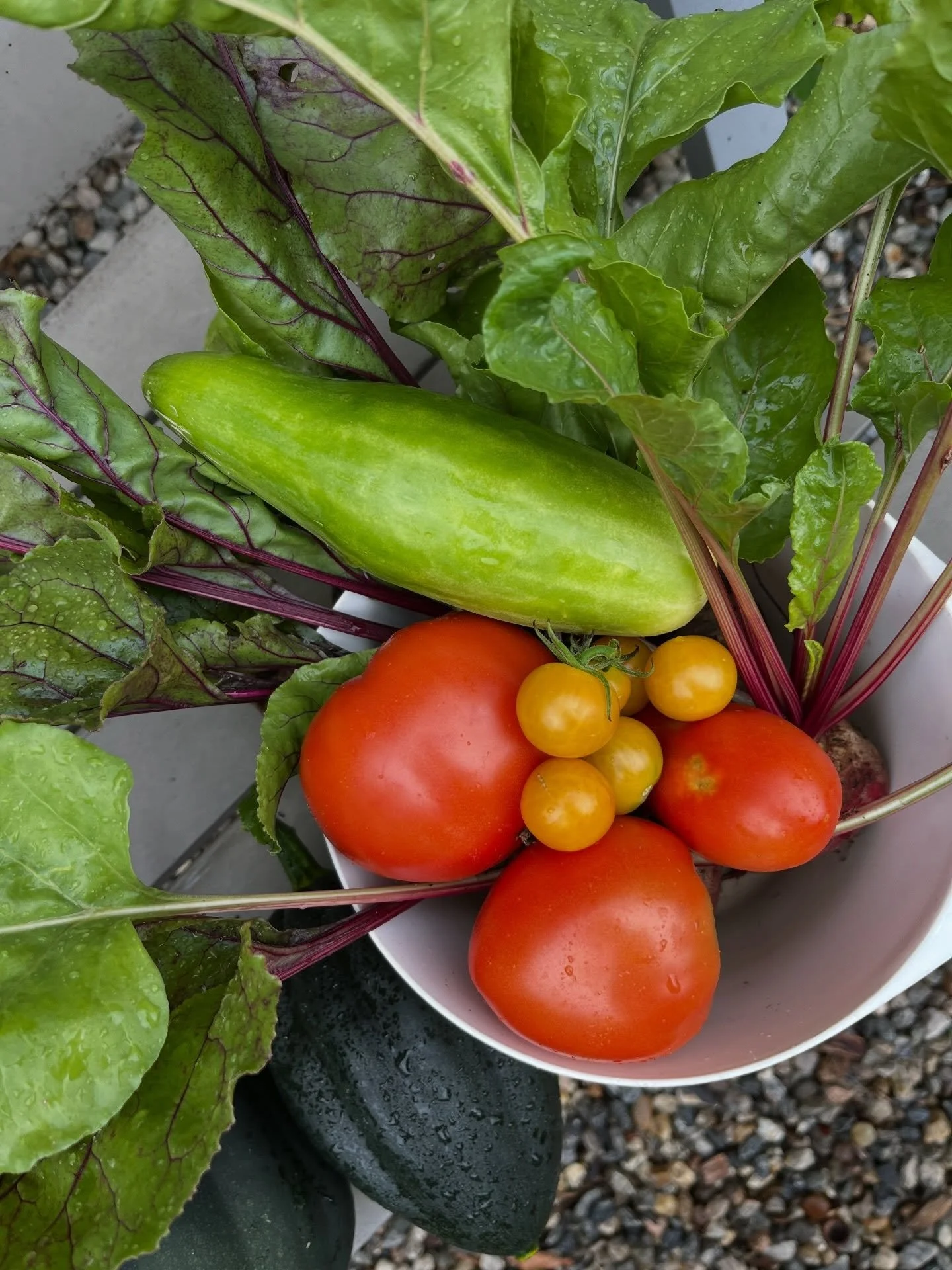 This year I&rsquo;m planning the garden with winter in mind. 

Green beans in the freezer. Pasta sauce on the shelves. Pickled beets. Salsa verde. Maybe an unreasonable number of peppers. 🌶️ 

I wrote a blog post about &ldquo;putting food up&rdquo;,