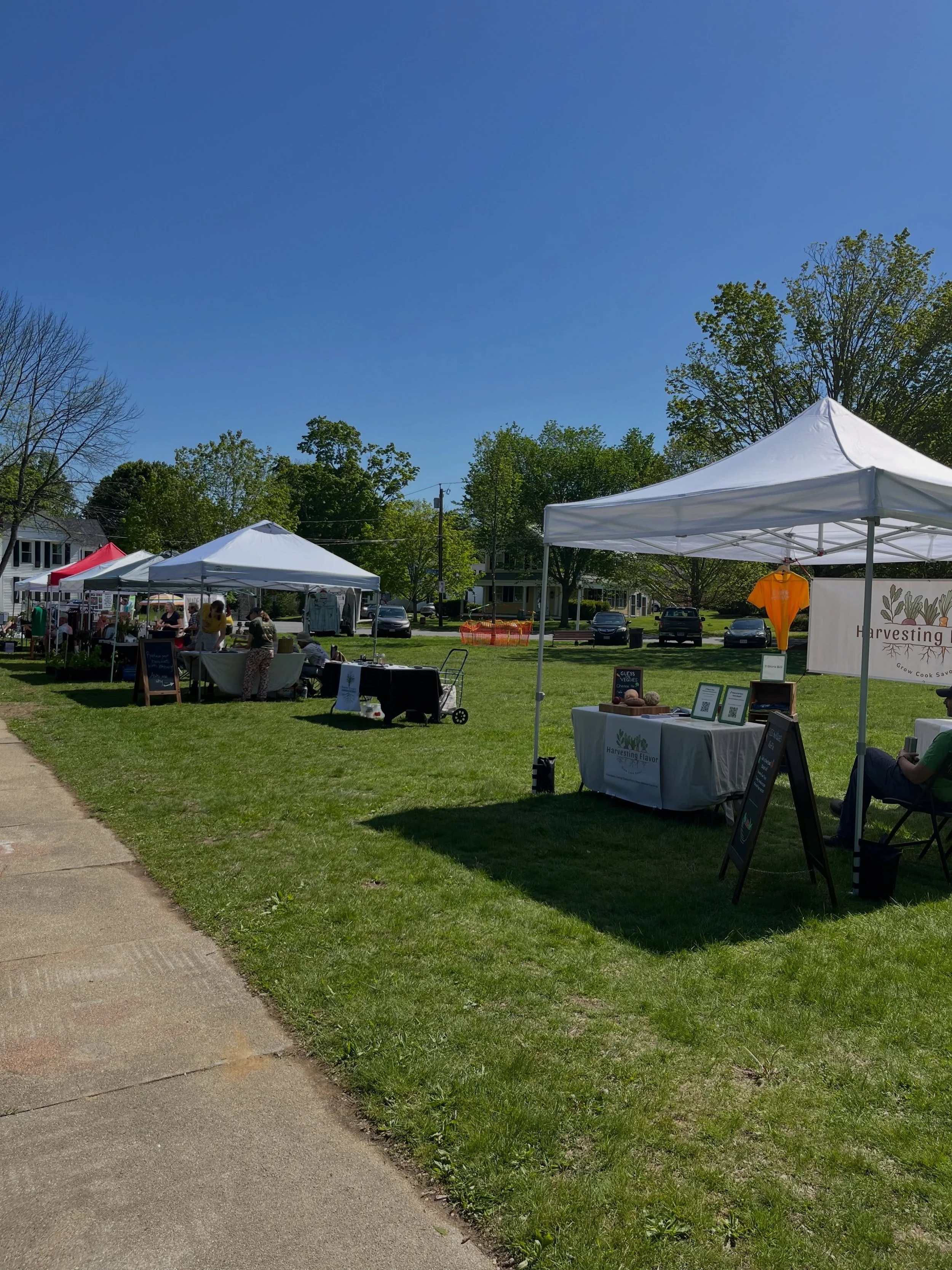 Fun day at the Southbridge Garden Club plant sale. Can&rsquo;t go wrong with an 80 degree day surrounded by plant-lovers!