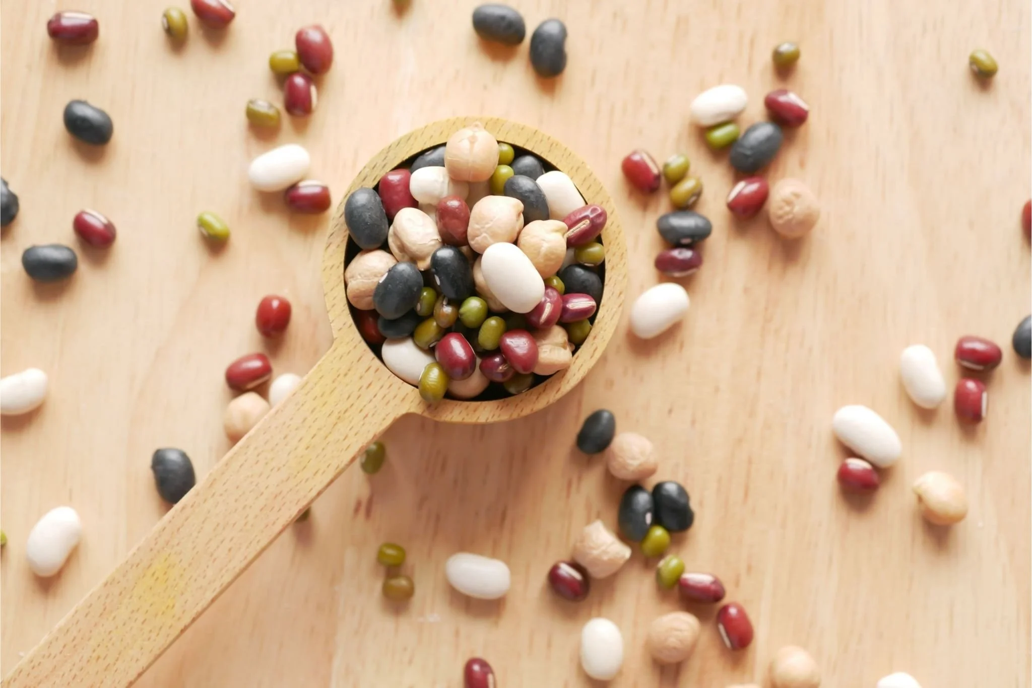 The Ultimate Guide to Plant-Based Protein