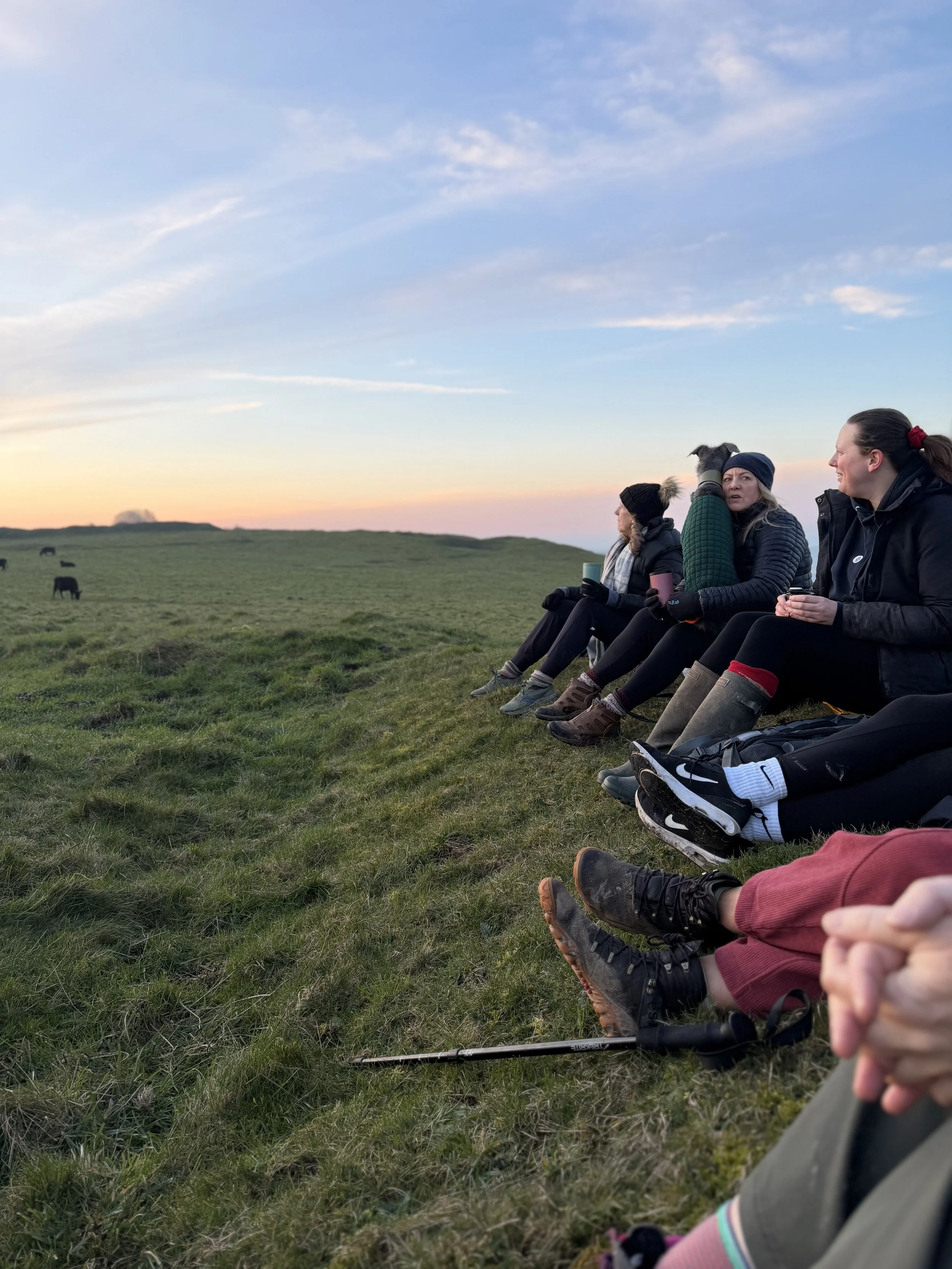 Group of people sitting on grassy hill at sunset, dressed warmly, with grazing cows in distance.