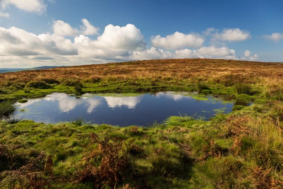 cloud-reflections-pool-quantock-hills (1).webp