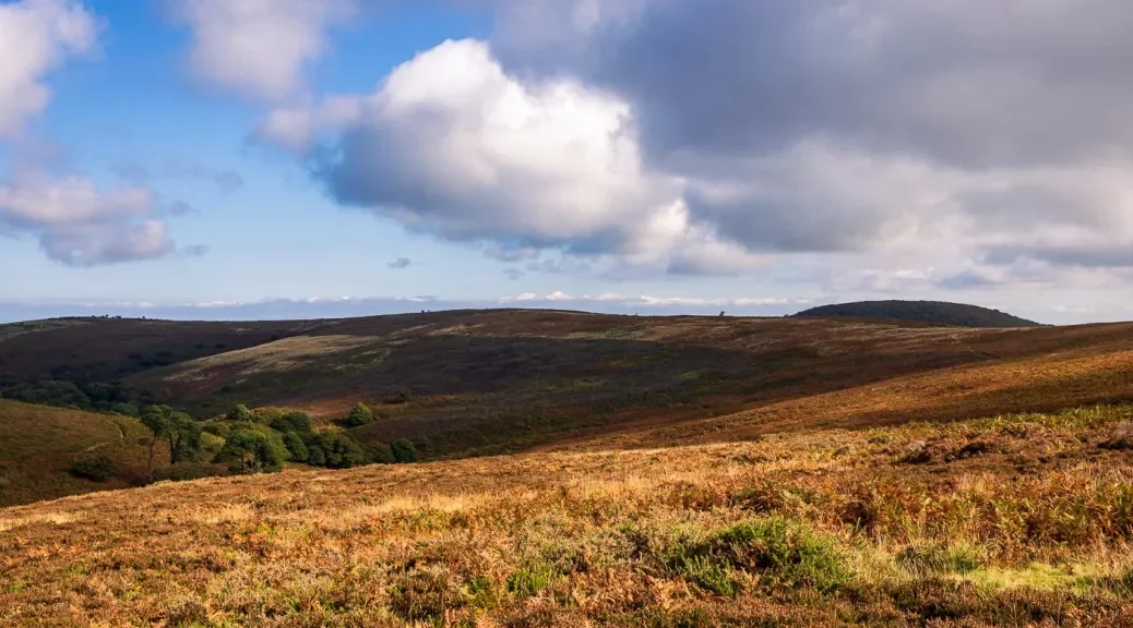 quantock-hills-somerset-2.webp