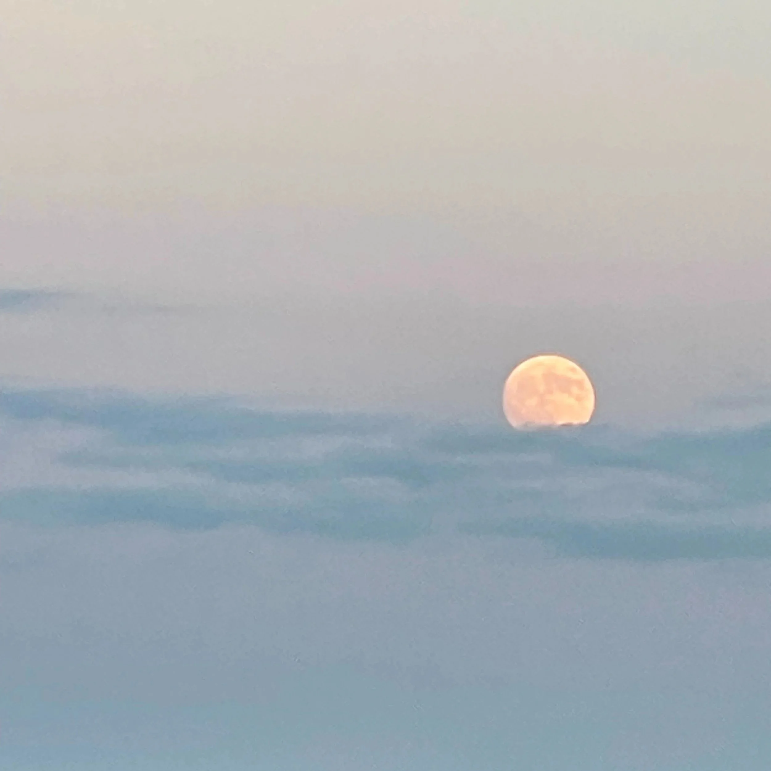 Full Moon Night Walk