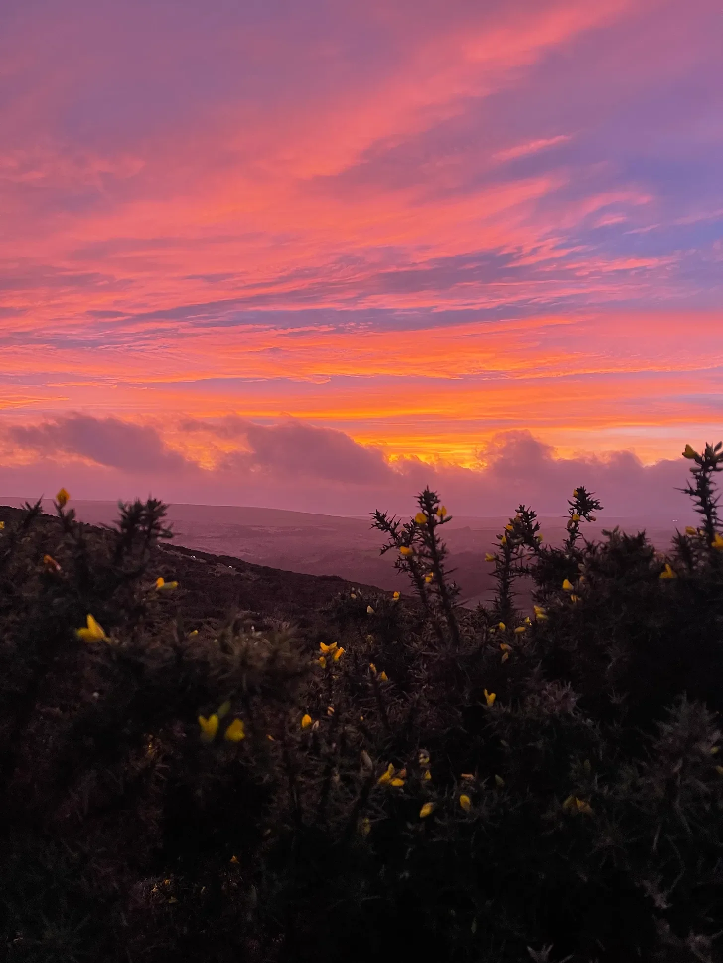 How Landscapes Affect Us