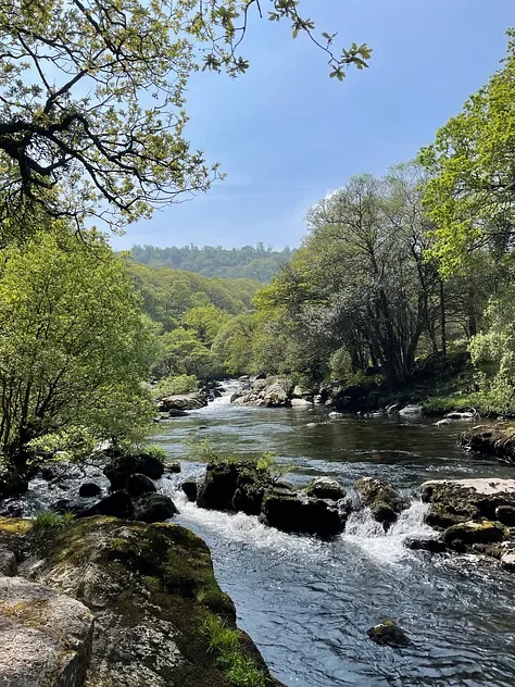 2aef29be-e6ef-432f-ad0e-eaf8cdd7823a (1).webp