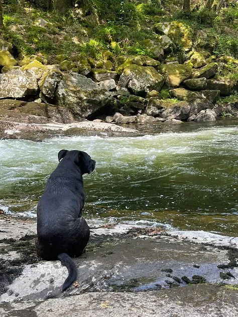 64adf649-e795-4c53-a03e-dae2541f9f09 (1).webp