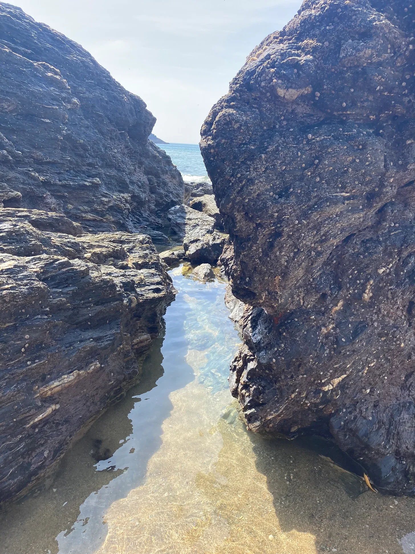 The Gentle Art of Tramping