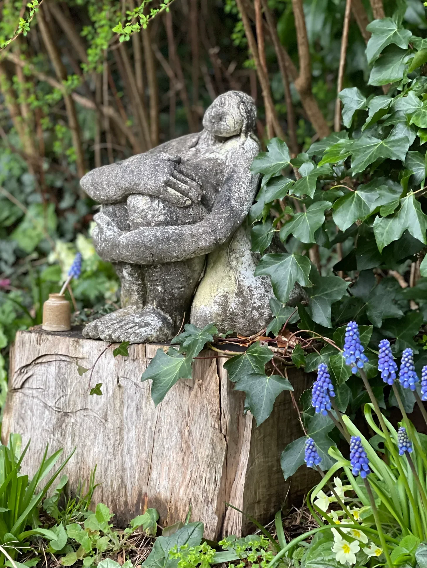 Biophilia - Our Innate Affinity with the Natural World