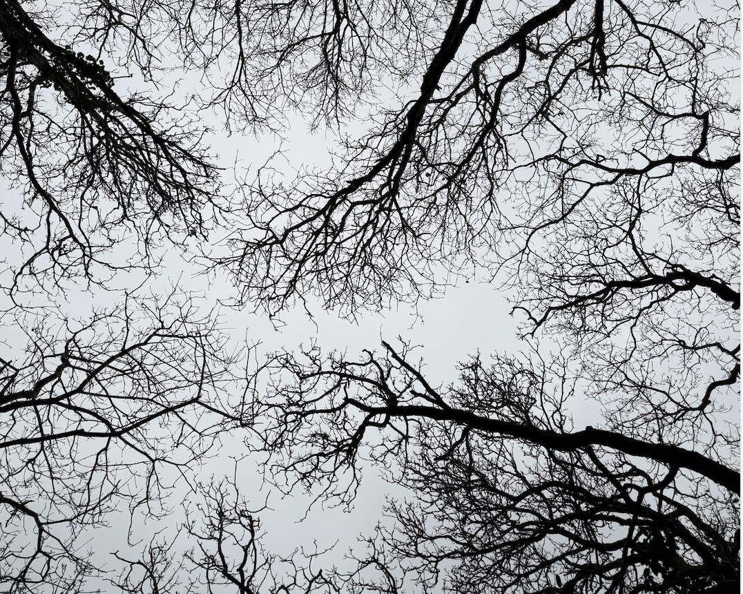 Mid Winter - The Great Exhalation