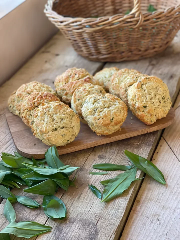 Six Plants to Forage this March and Lots of Recipes!