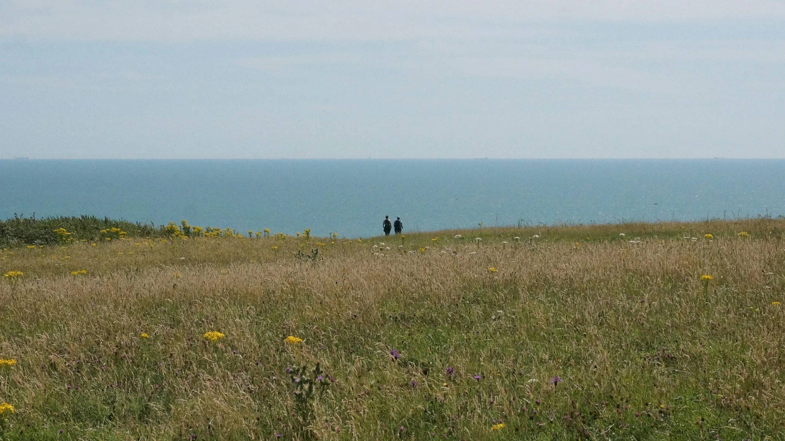 Coastal Cure Series: Man Sands and Scabbacombe Circular