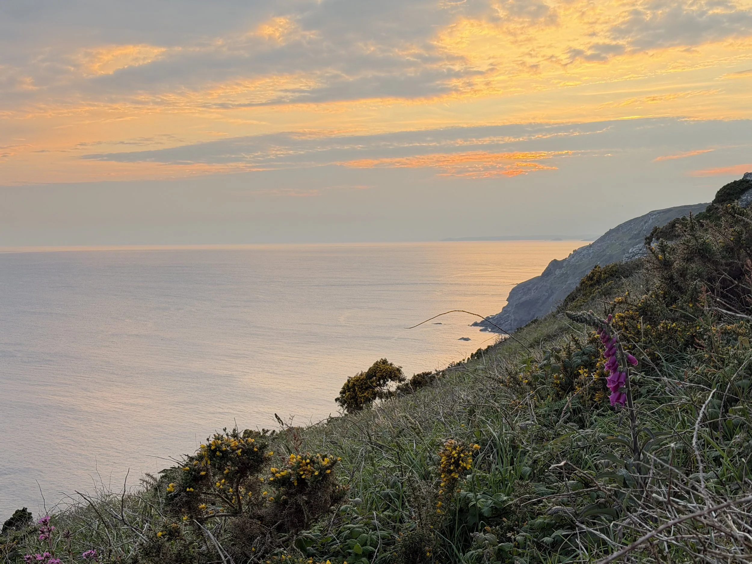 IMG_6756.JPG