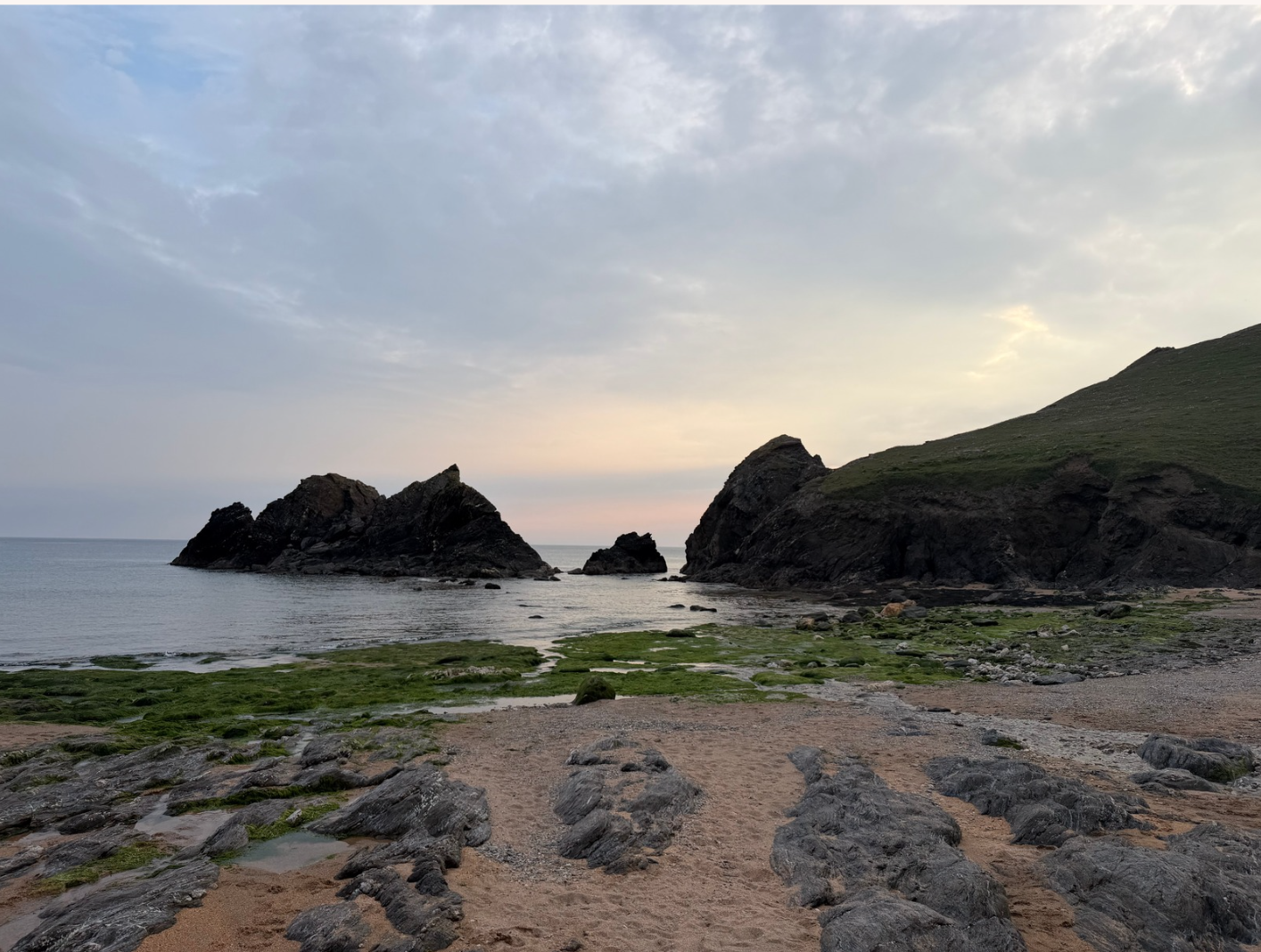 Coastal Cure Series: Full Moon, Golden Hour Walk - Bolberry Down to Soar Mill Cove Circular