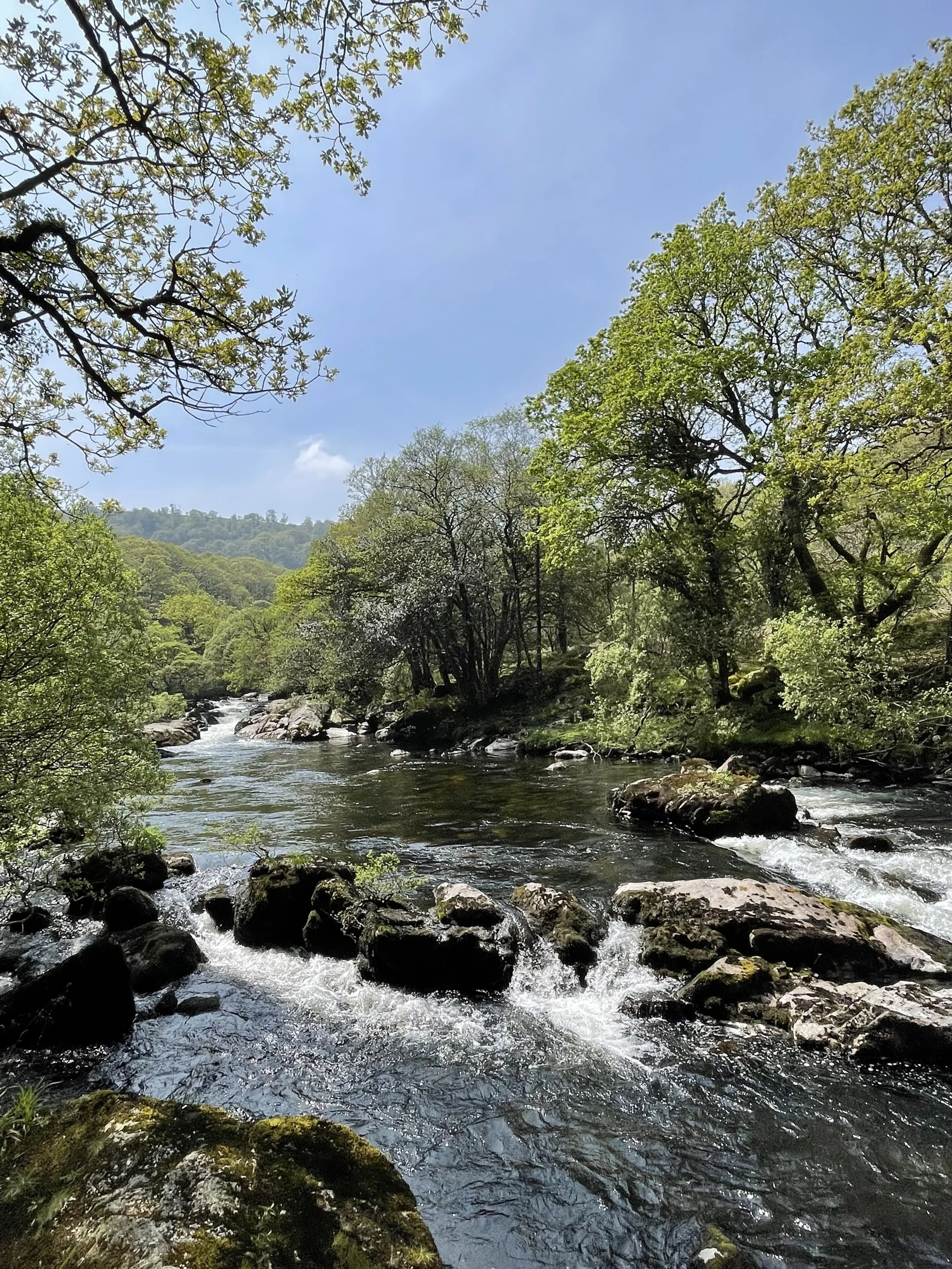 Social Stroll: Sharrah Pool Walk and Wild Swim, Dartmoor