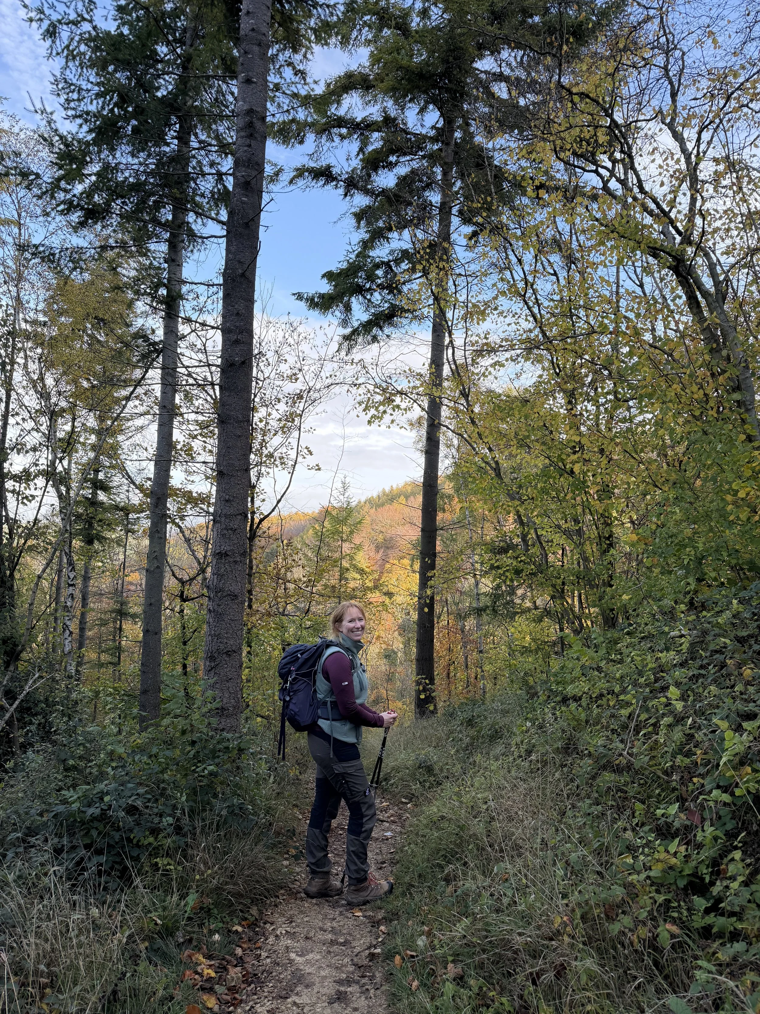 A woman with a backpack hiking along a trail in a forest with tall trees and colorful autumn leaves.