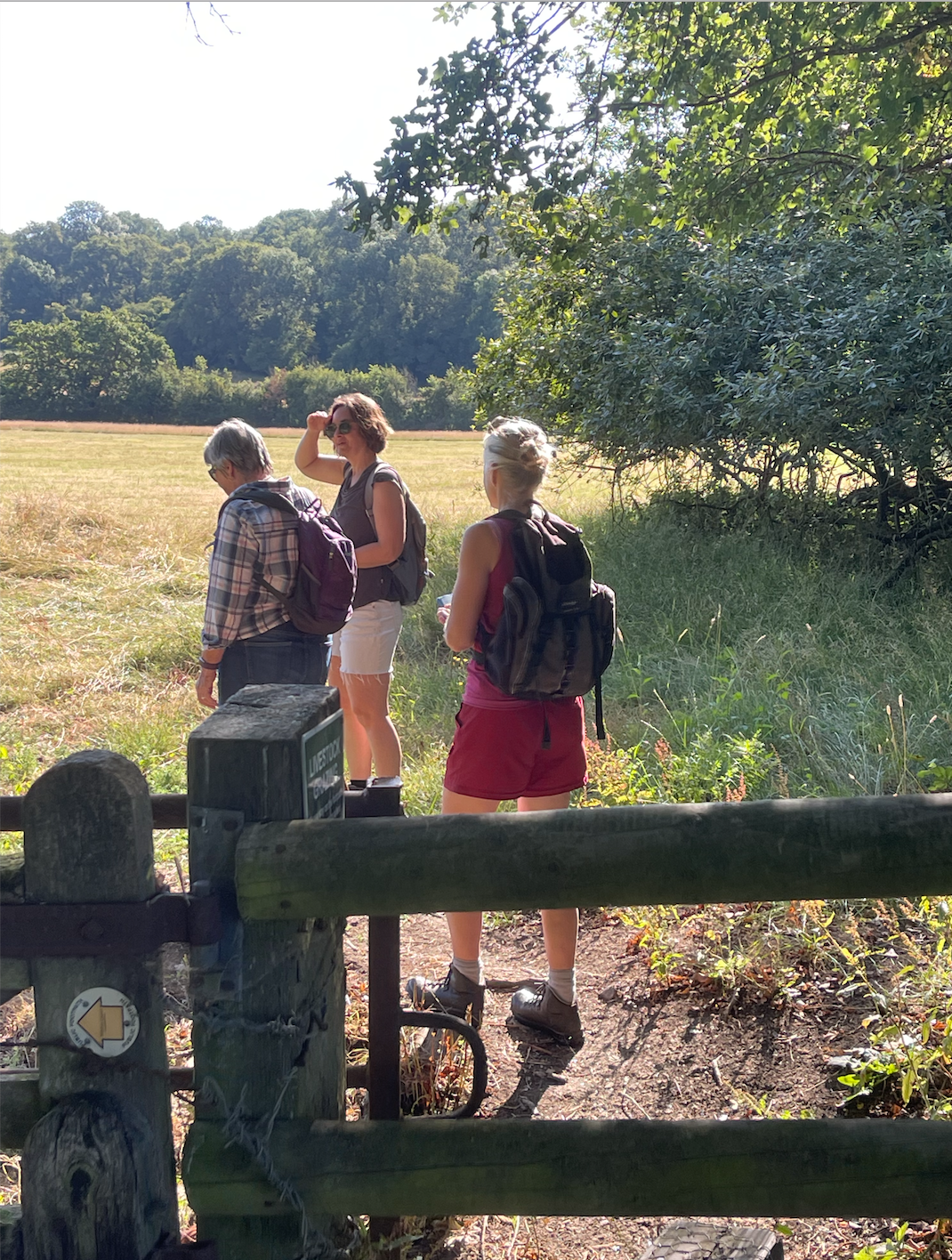 Three women with backpacks standing next to a wooden fence at the edge of a field, shaded by trees, with a forest in the background.