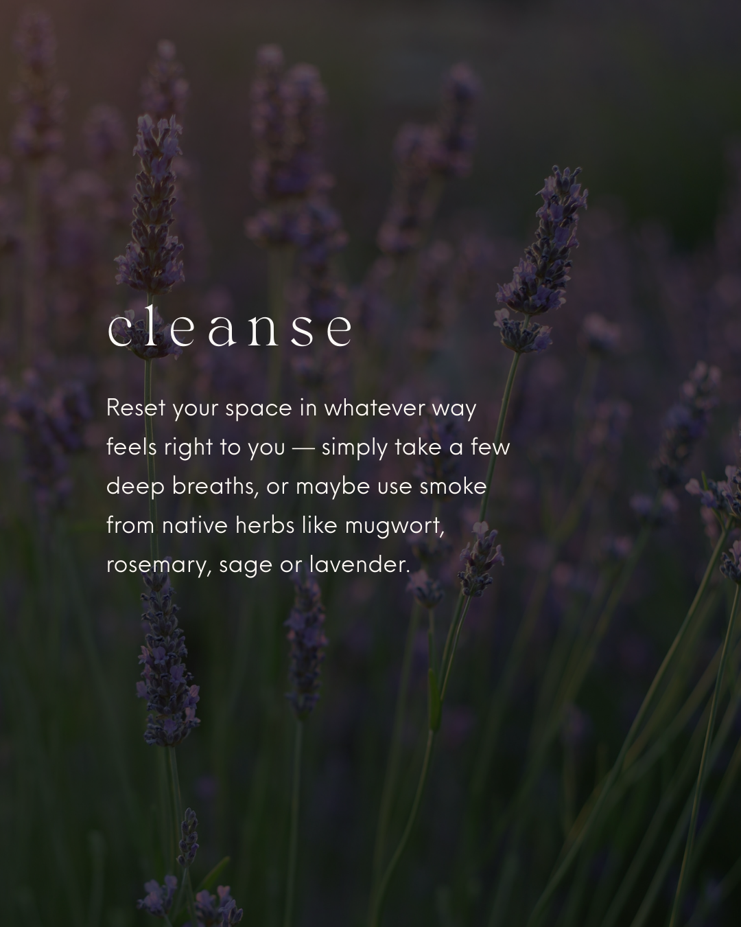 A close-up of lavender flowers with a text overlay about cleansing and resetting your space, discussing deep breaths and herbal smoke like mugwort, rosemary, sage, or lavender.