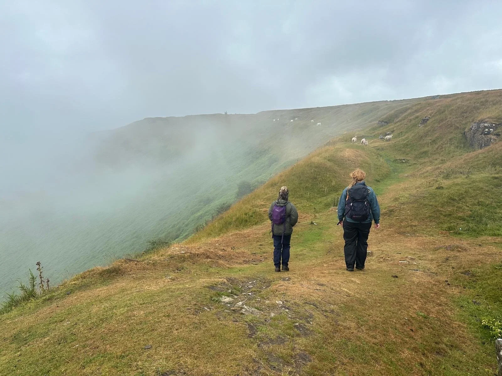 Two hikers with backpacks walking along a grassy trail on a foggy hilltop, with sheep grazing in the distance. Blorenge Mountain, Breacon Beacons