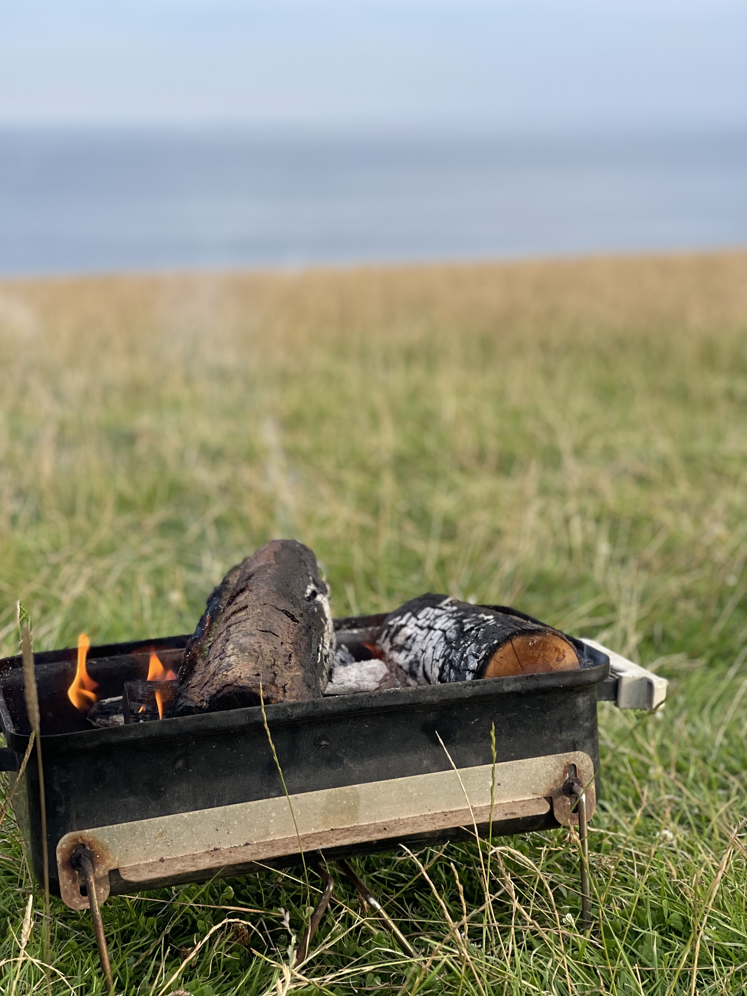 Camping and guided walk at East Prawle, South Devon