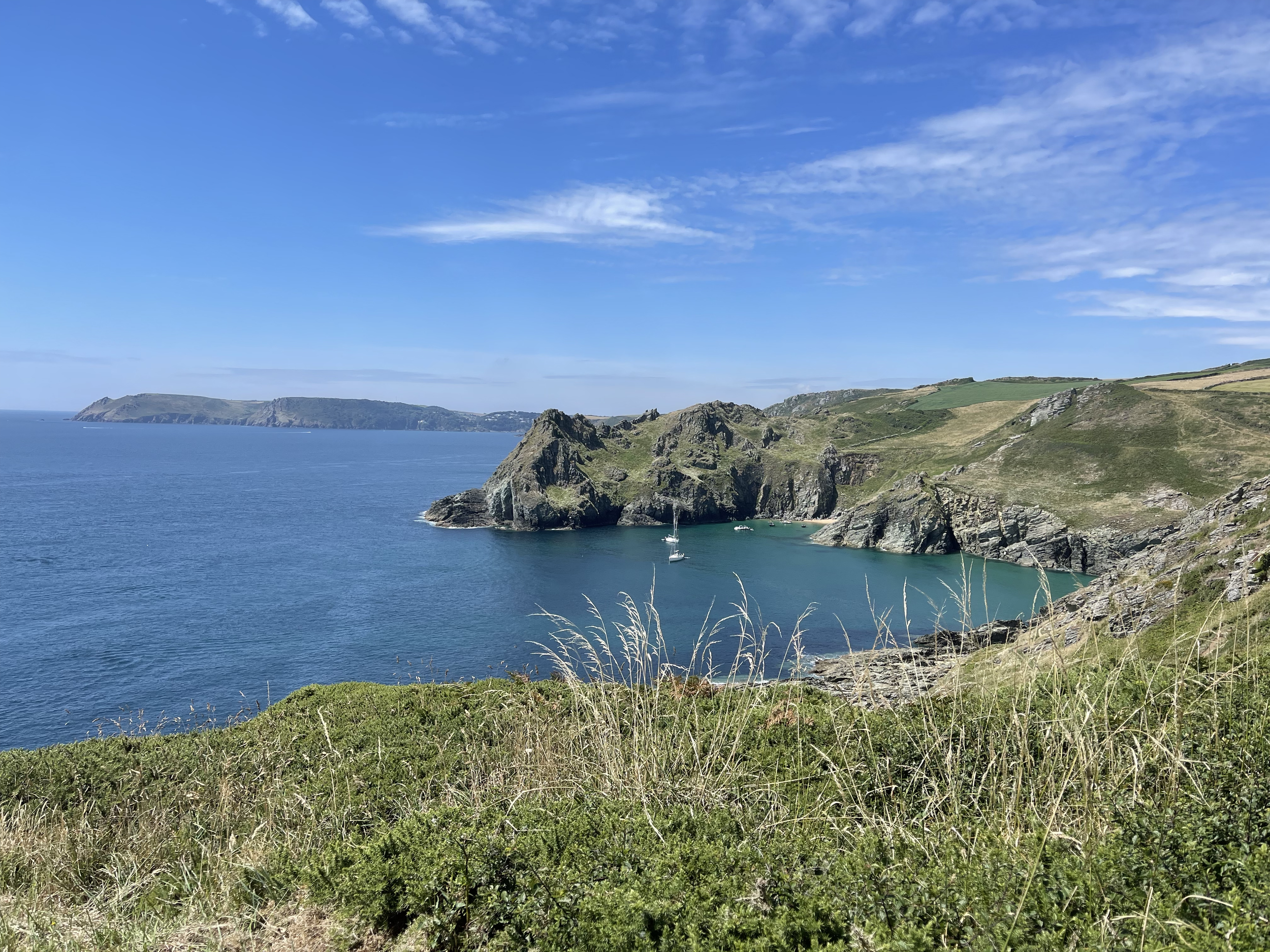 Walking Wild Weekend, East Prawle
