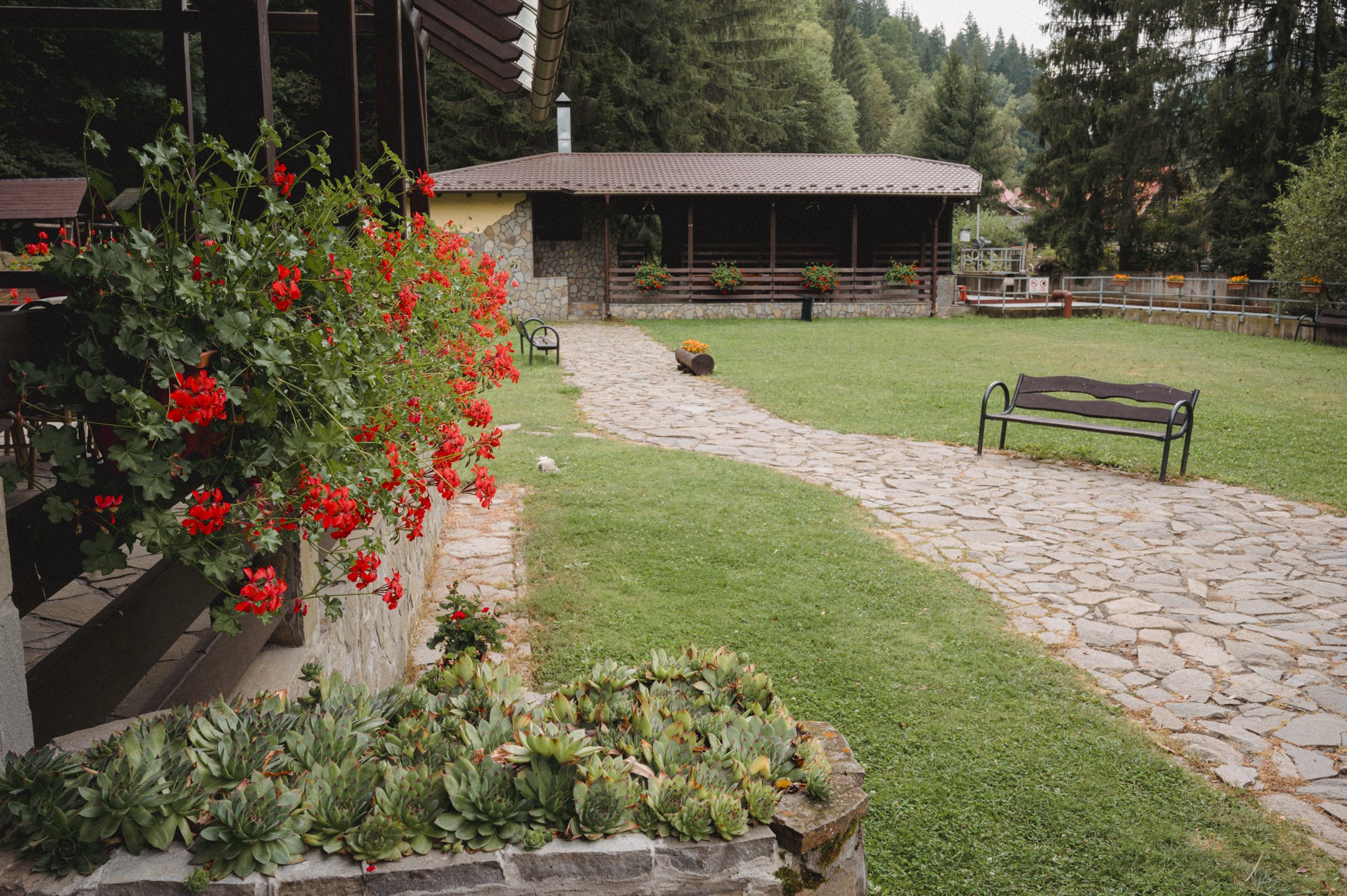 Pensiunea Denisa_-58.jpg