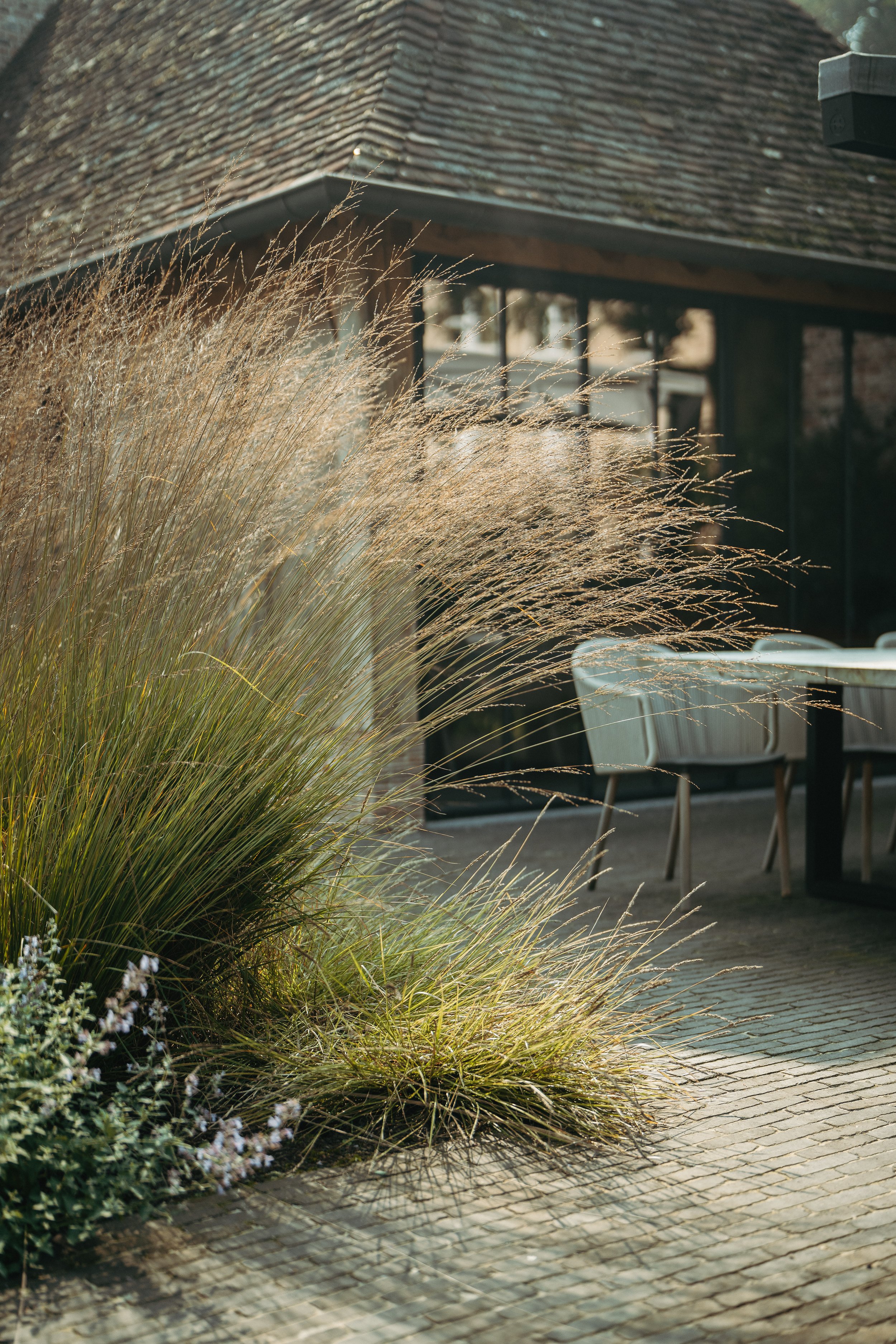 Tuin met siergras en terras voor een huis met rieten dak en grote ramen.