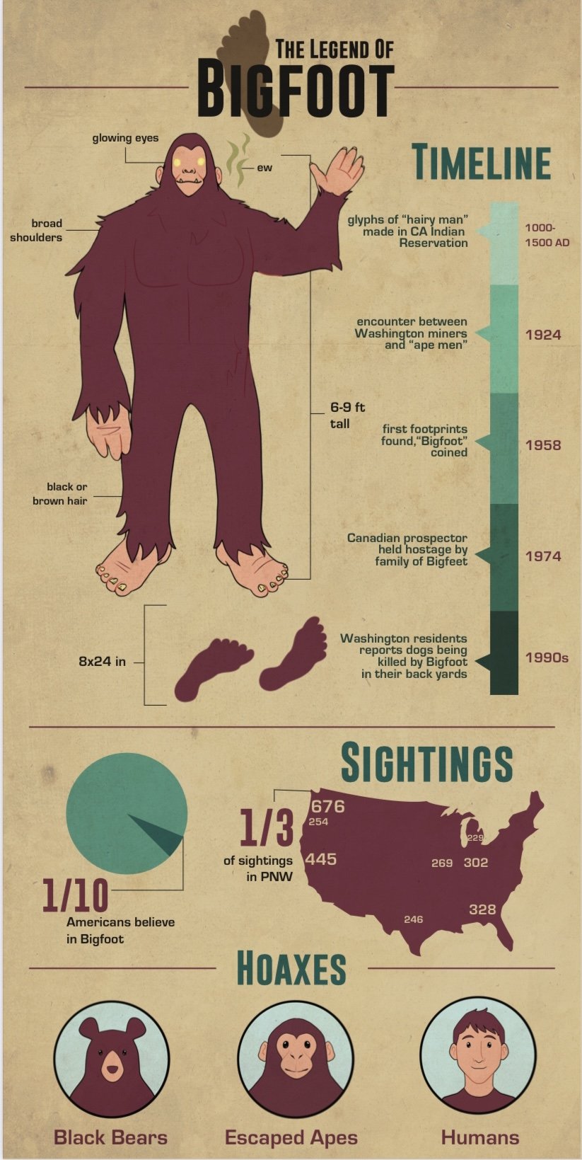 Final Infographic (Illustrator)