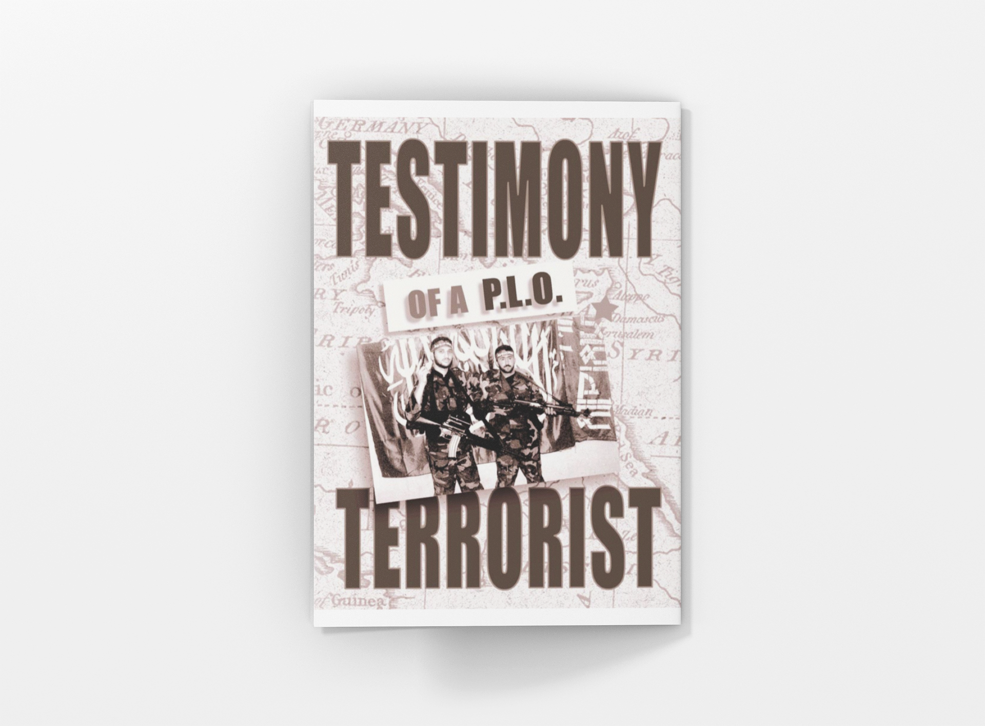 Testimony of a PLO Terrorist