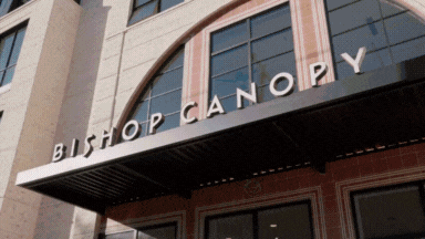 Bishop Canopy GIF.gif