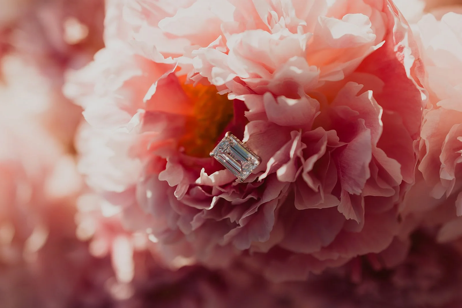 ACPHOTO_J&B_Proposal_--244.jpg