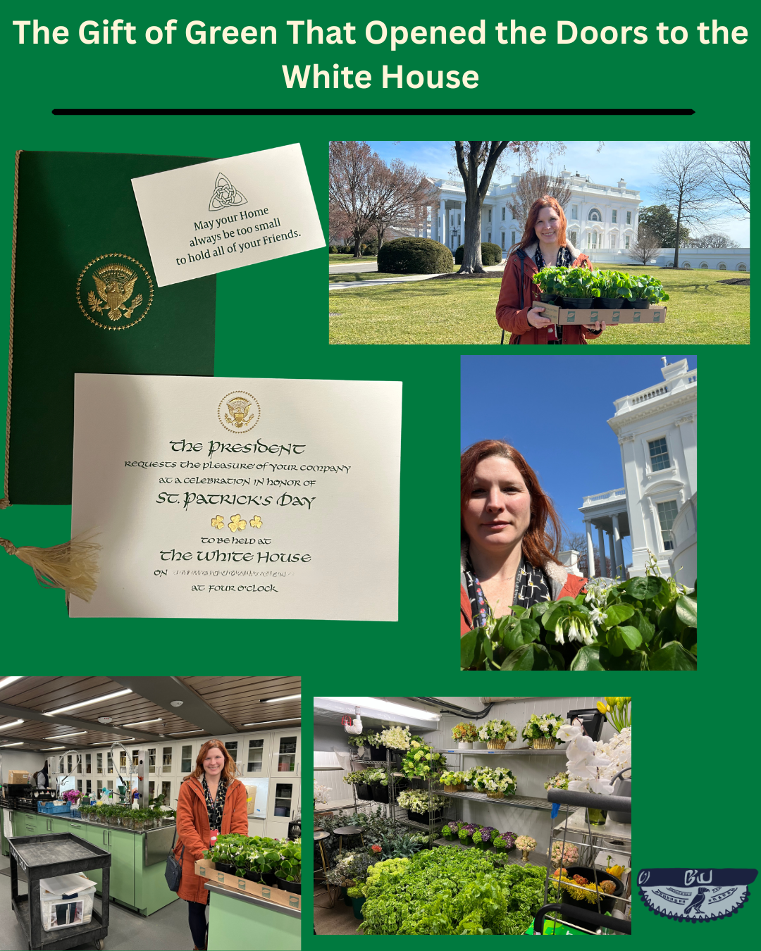 Strategic gift leadership by Grand Unveiling founder Moira Jamrisko at the White House. Managing the iconic St. Patrick’s Day shamrock exchange, including sourcing and protocol for the U.S. President’s high-stakes diplomatic engagement.