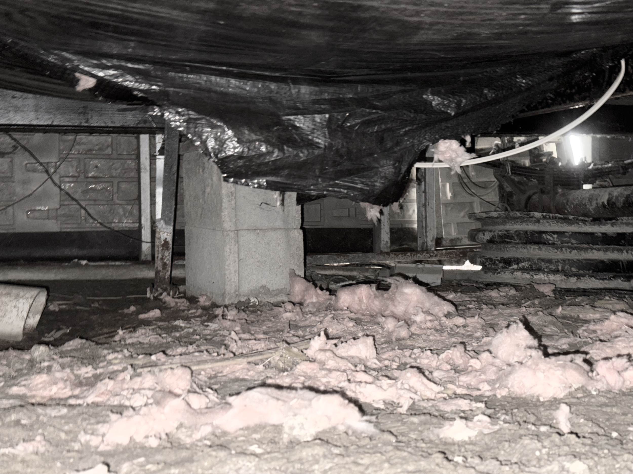 animal Damaged mobile home crawl space, underbelly, belly board, vapor barrier, and insulation.