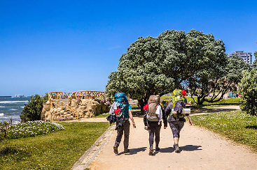 Op de planning: Camino Workation