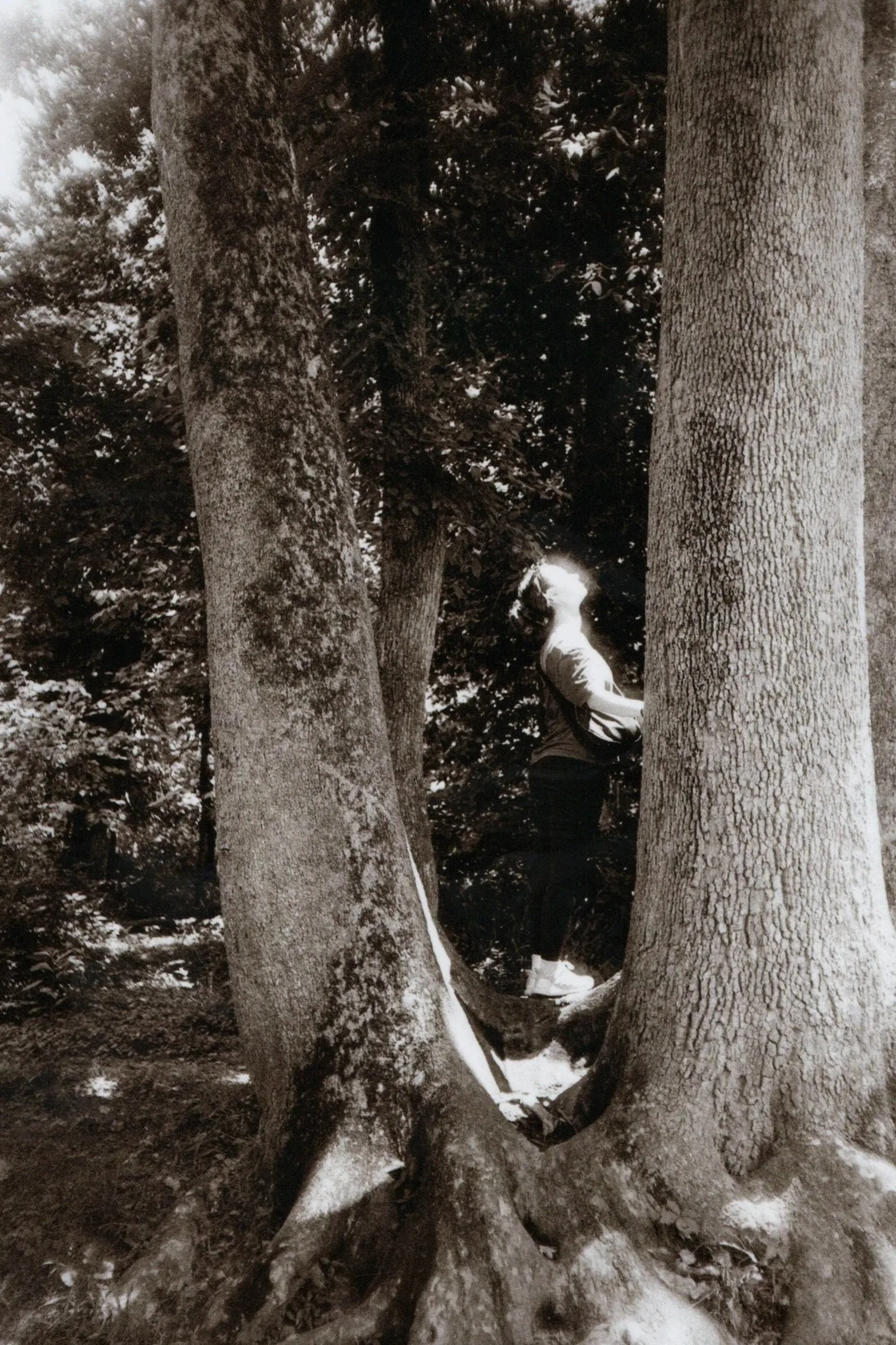 Meg+in+tree_001.jpg