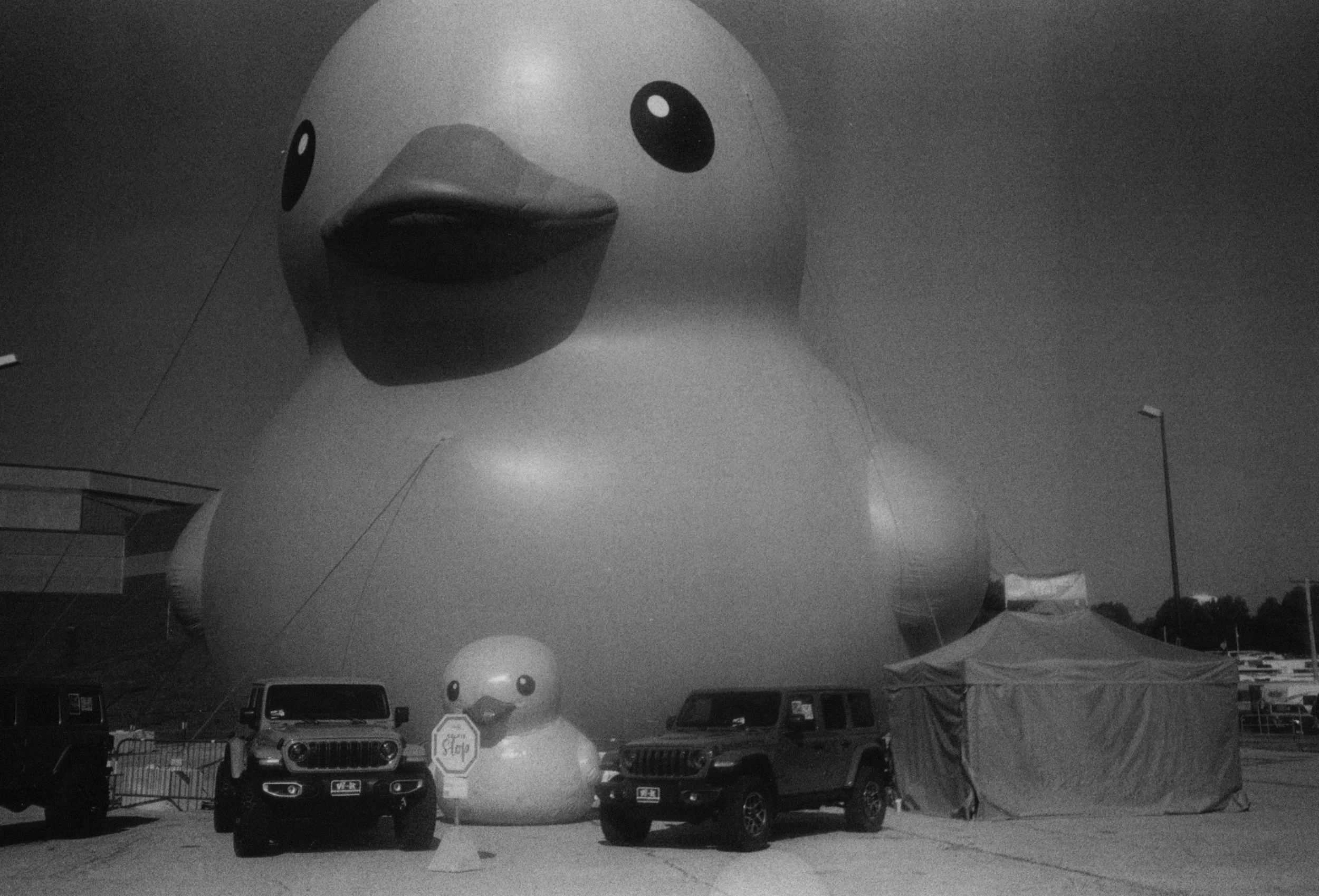 Worlds largest rubber duck_001 2.jpg