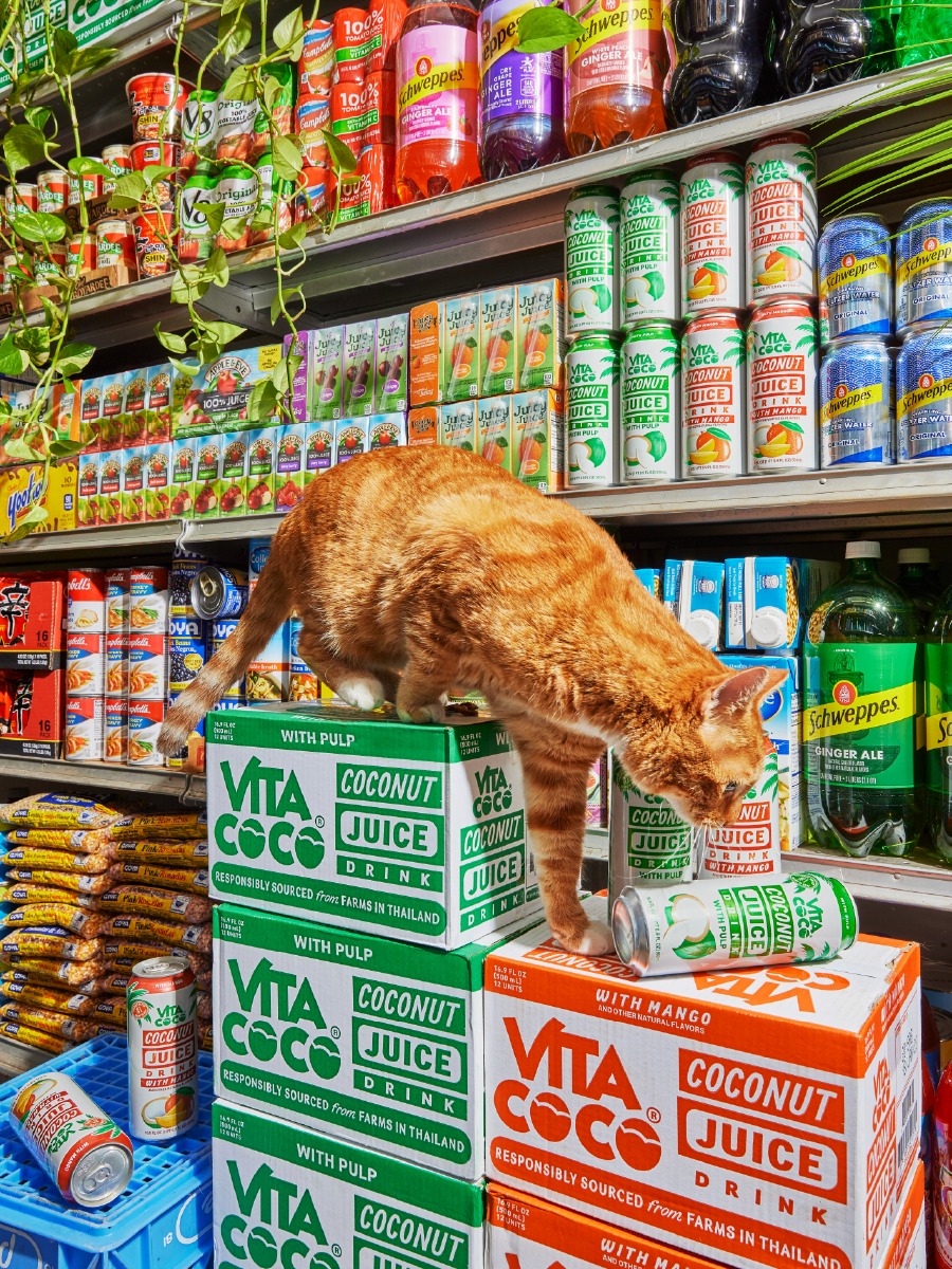 Juice Calvin CONTENT-01.png