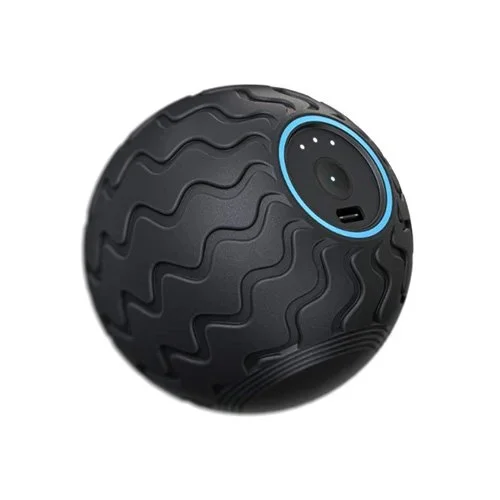 THERAGUN  Therapy Ball with QuietRoll Technology  $79.99