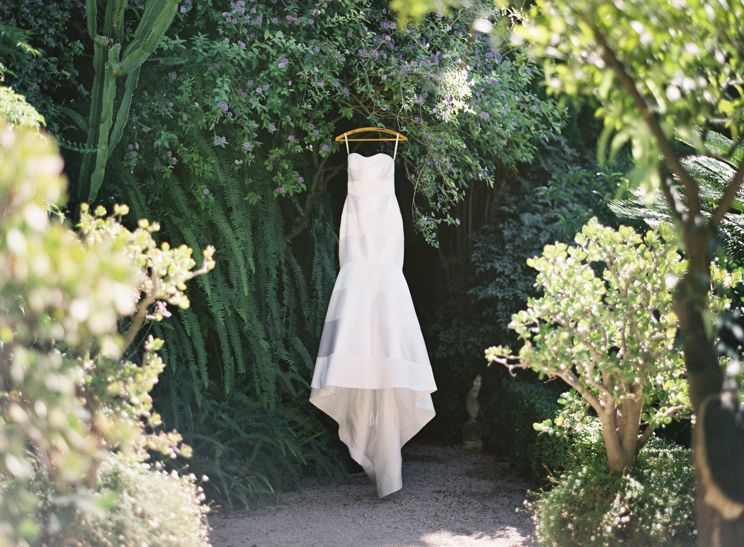 A white wedding dress hanging on a branch in a lush, green garden surrounded by flowering plants.