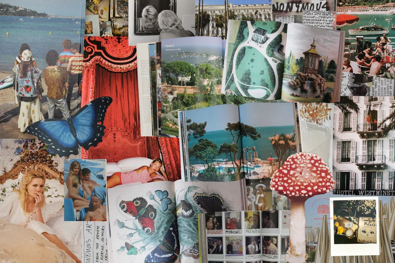 Chic Coffee Table Books from Maison Plage from Laura K. Sawyier